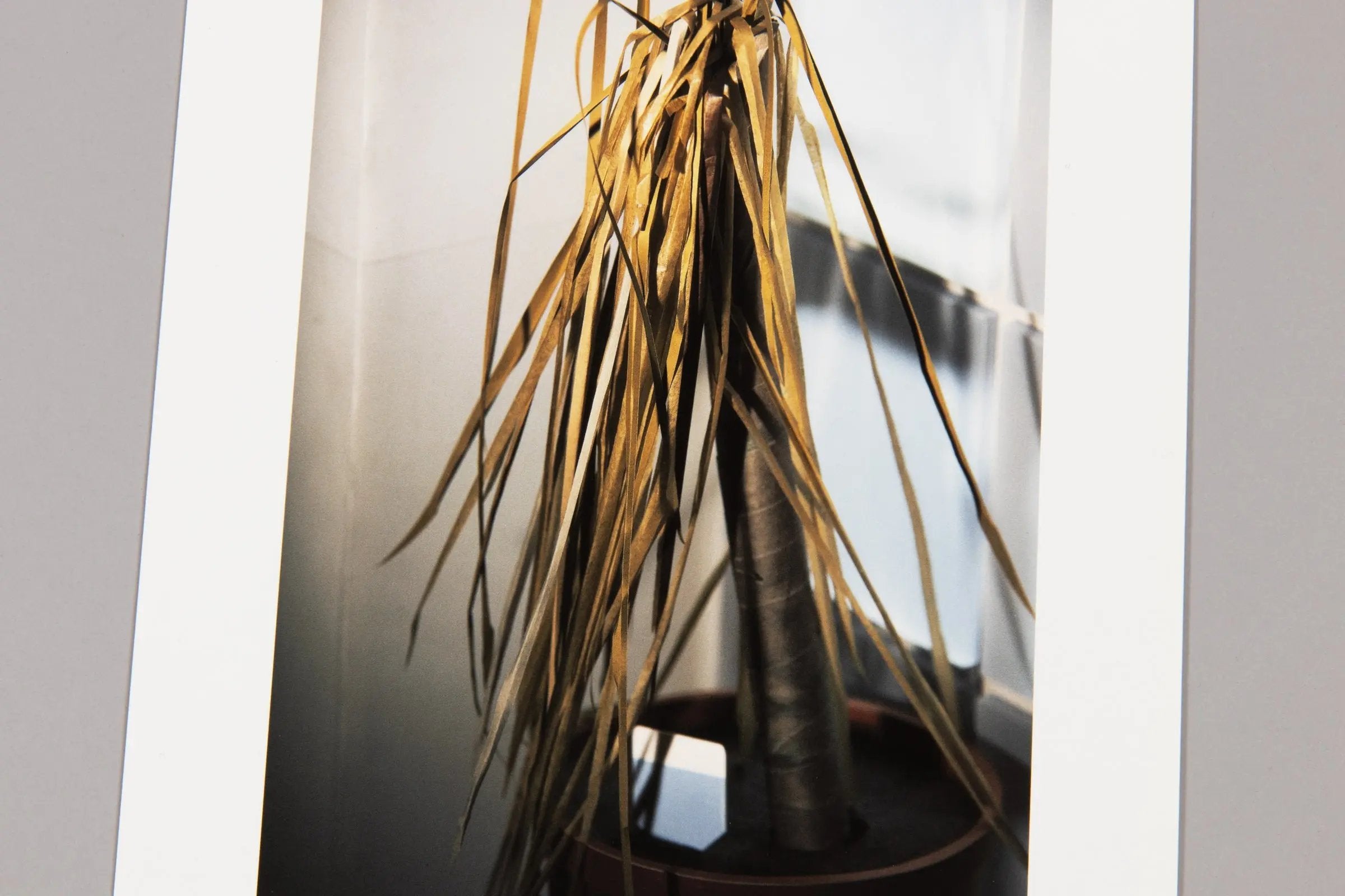 Thomas Demand – Klause (Scheinprobleme in der Philosophie)