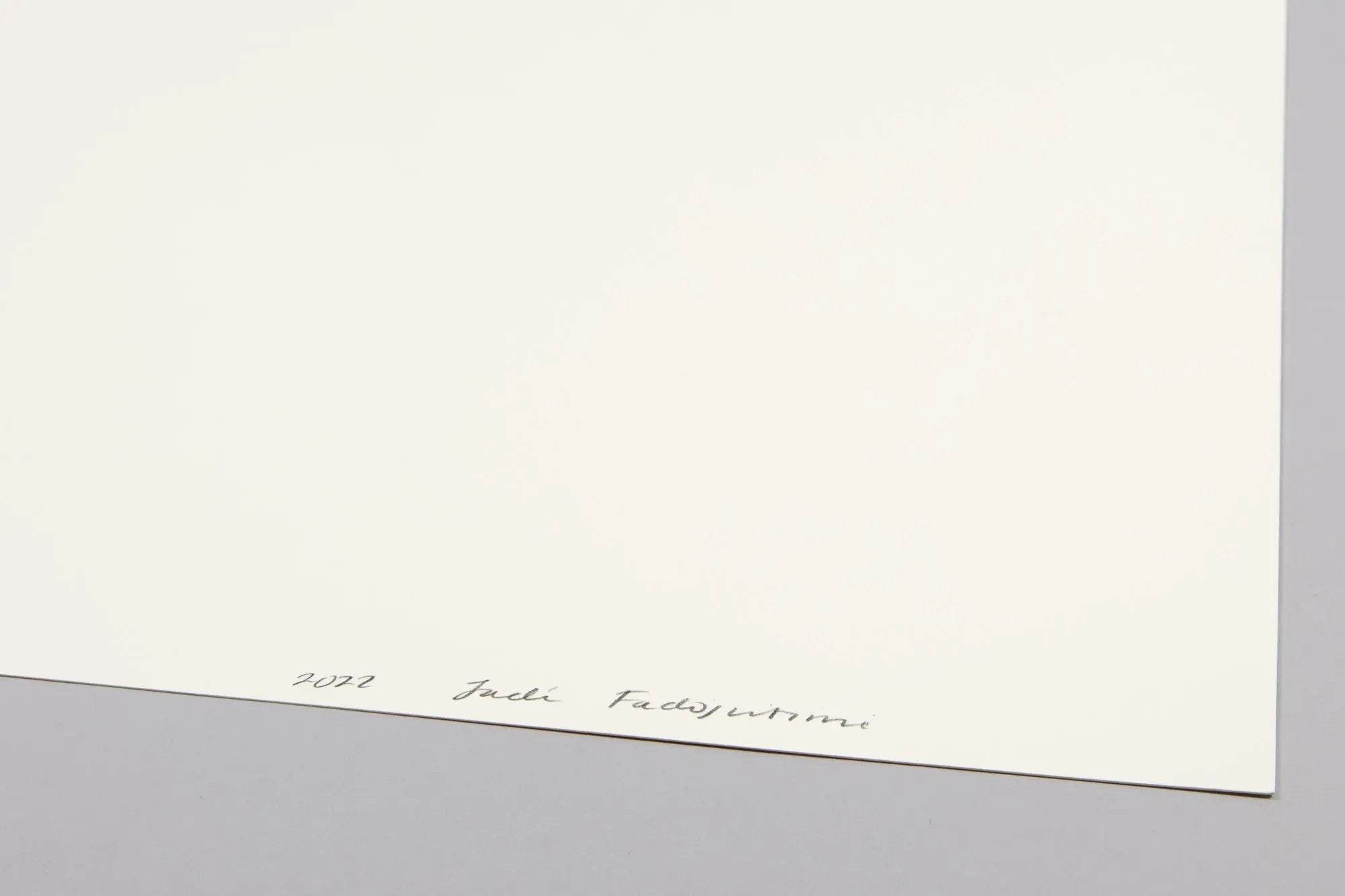 Jadé Fadojutimi - A Season's Echo