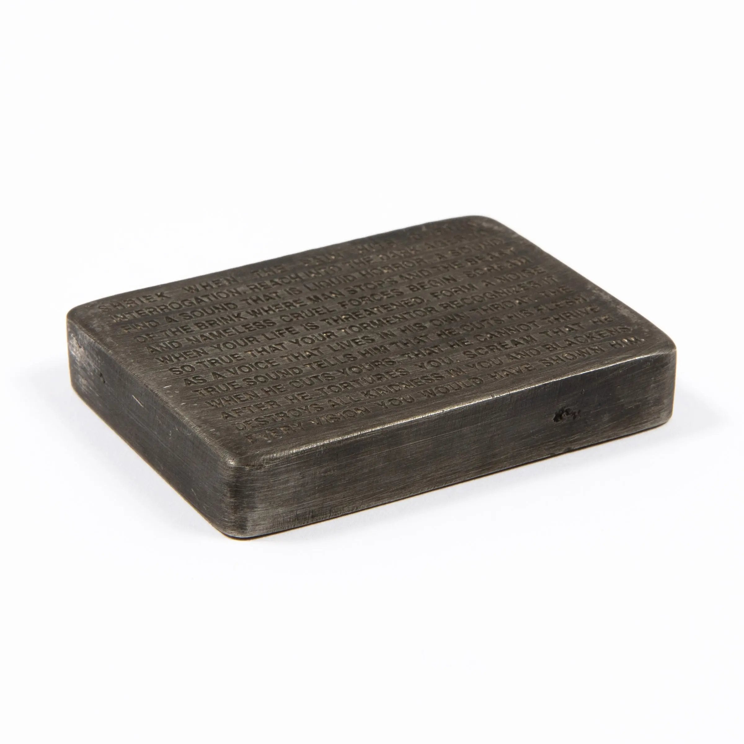 Jenny Holzer - Inflammatory Essays: Shriek When the Pain Hits During Interrogation