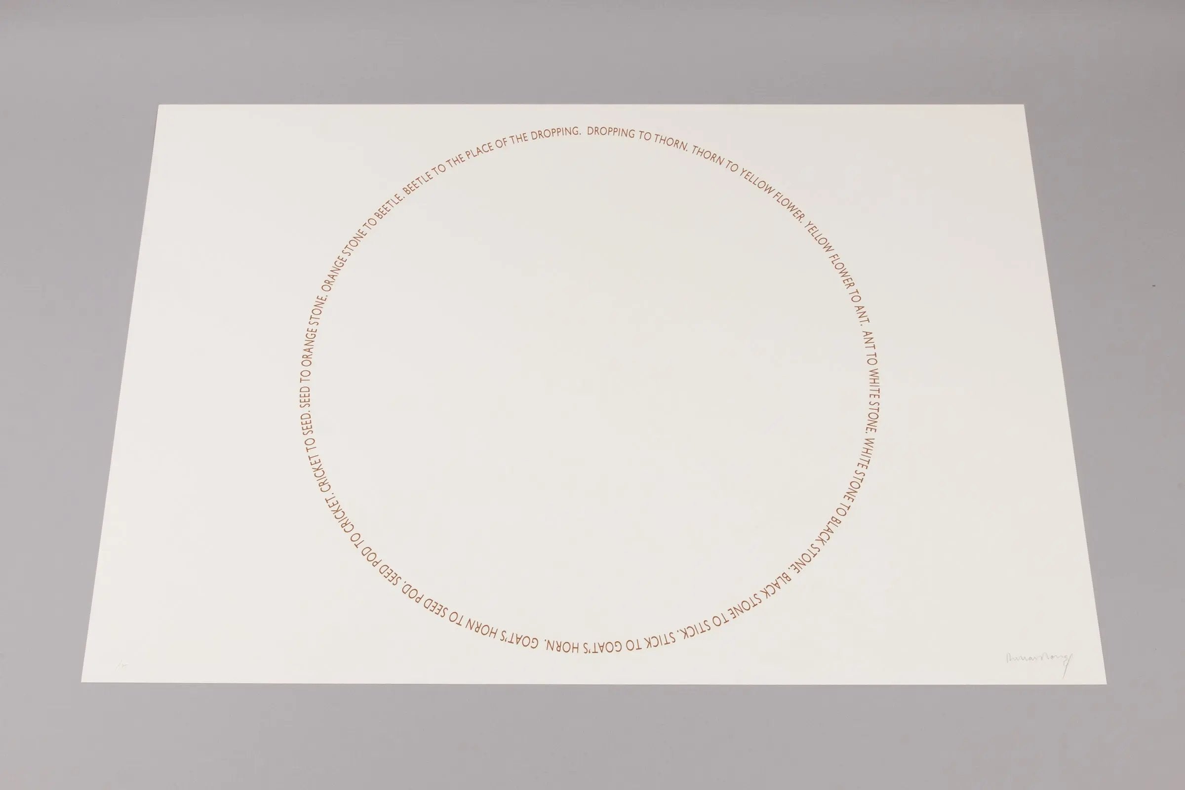 Richard Long - Two Sahara Works