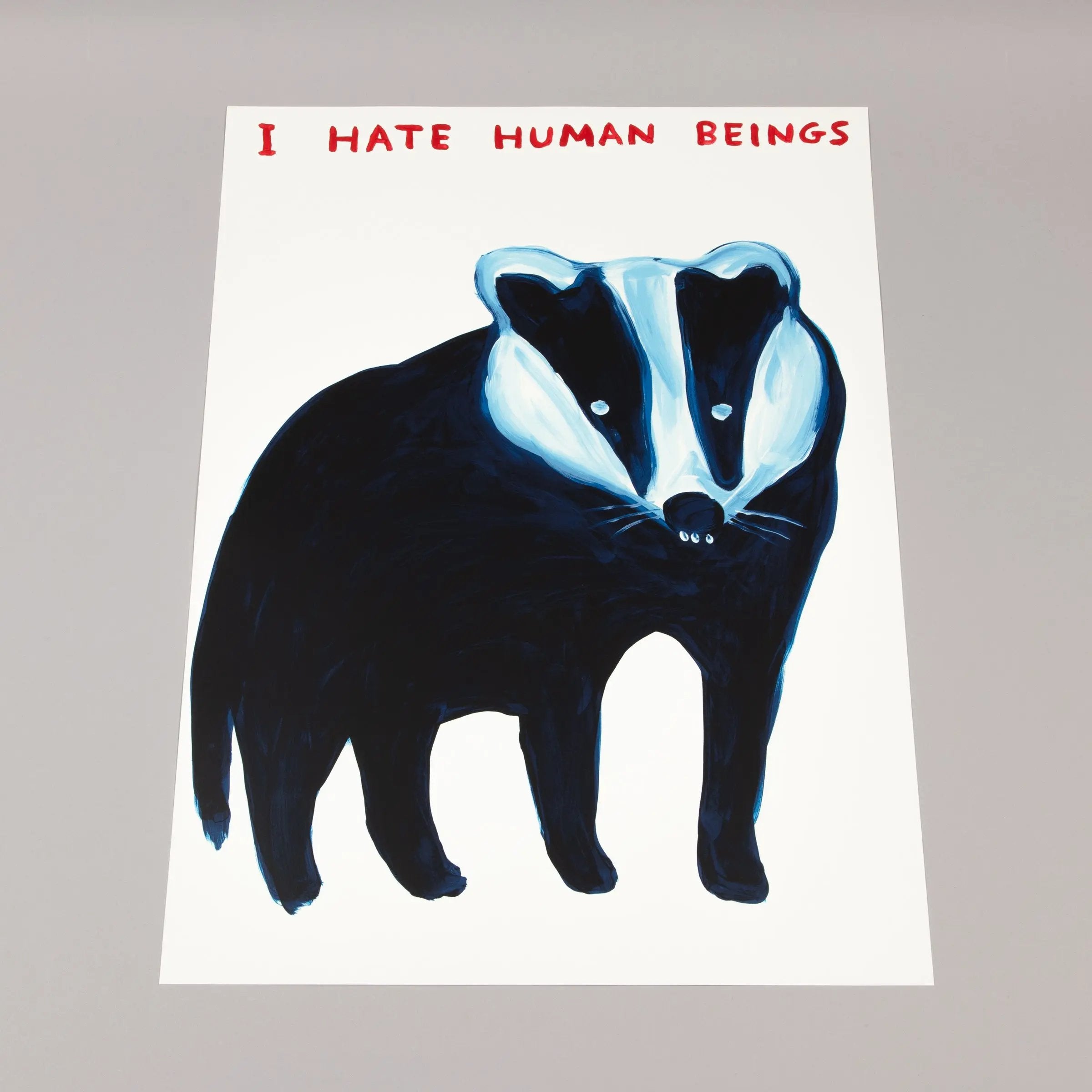 David Shrigley - I Hate Human Beings