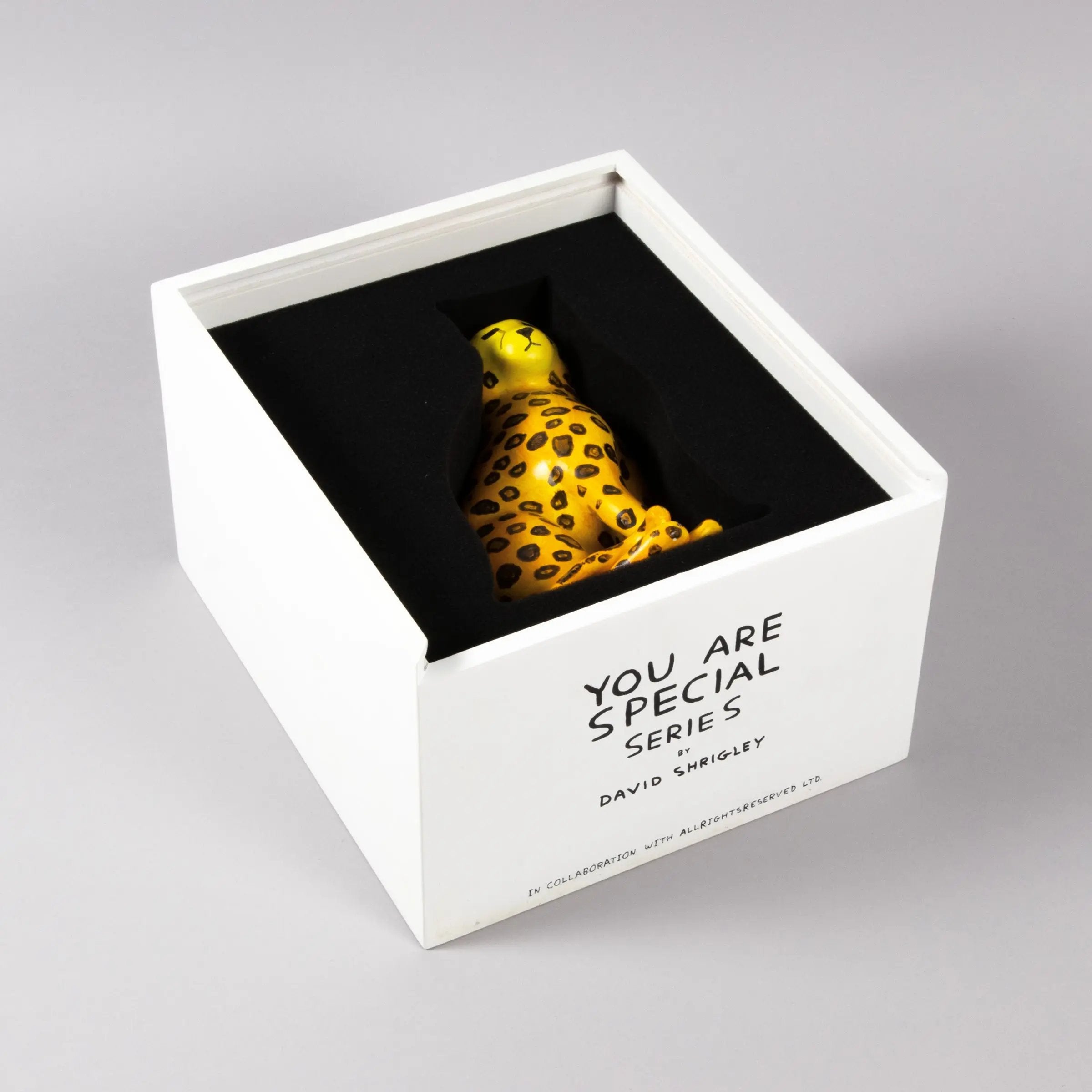 David Shrigley - I Cannot Change my Spots