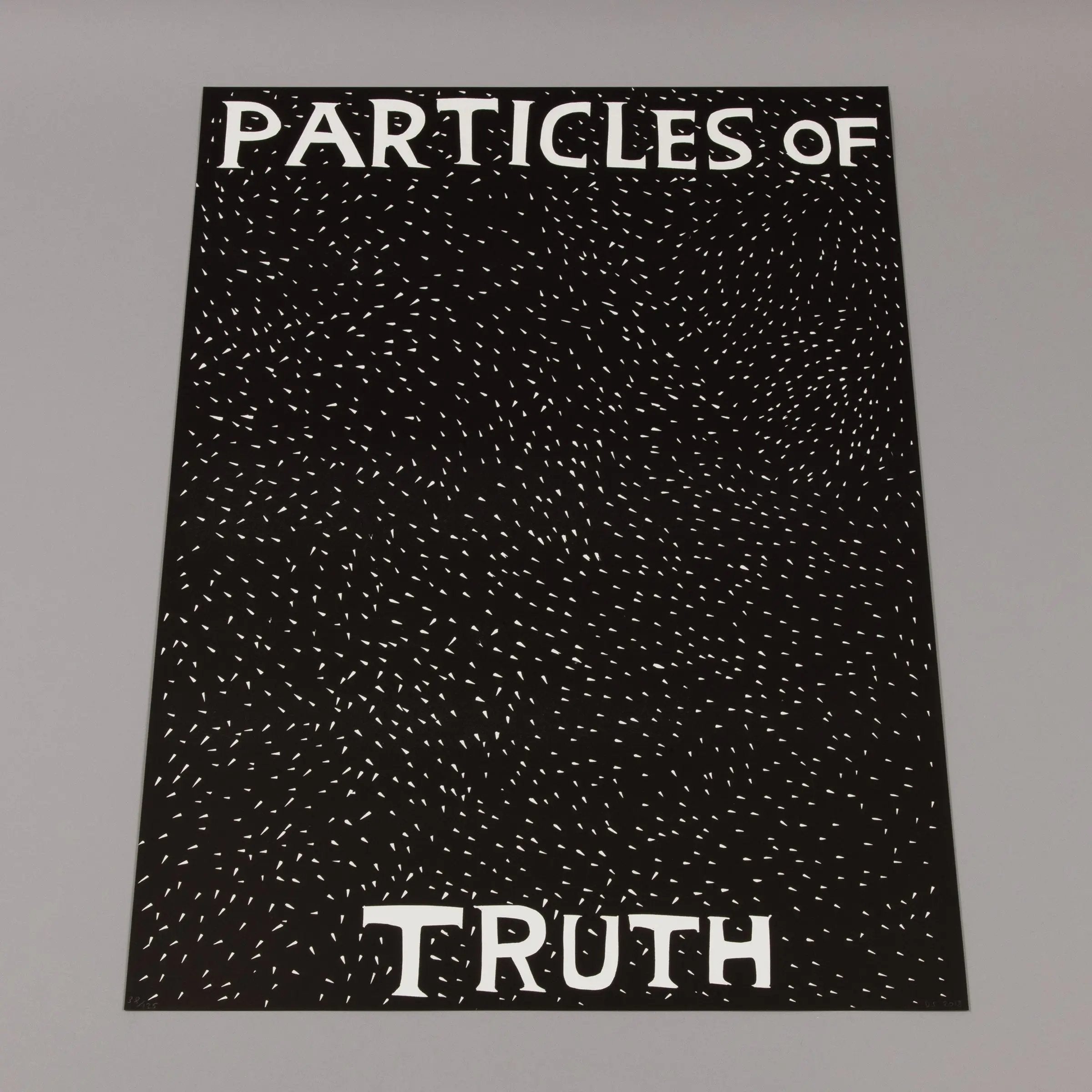 David Shrigley - Particles of Truth
