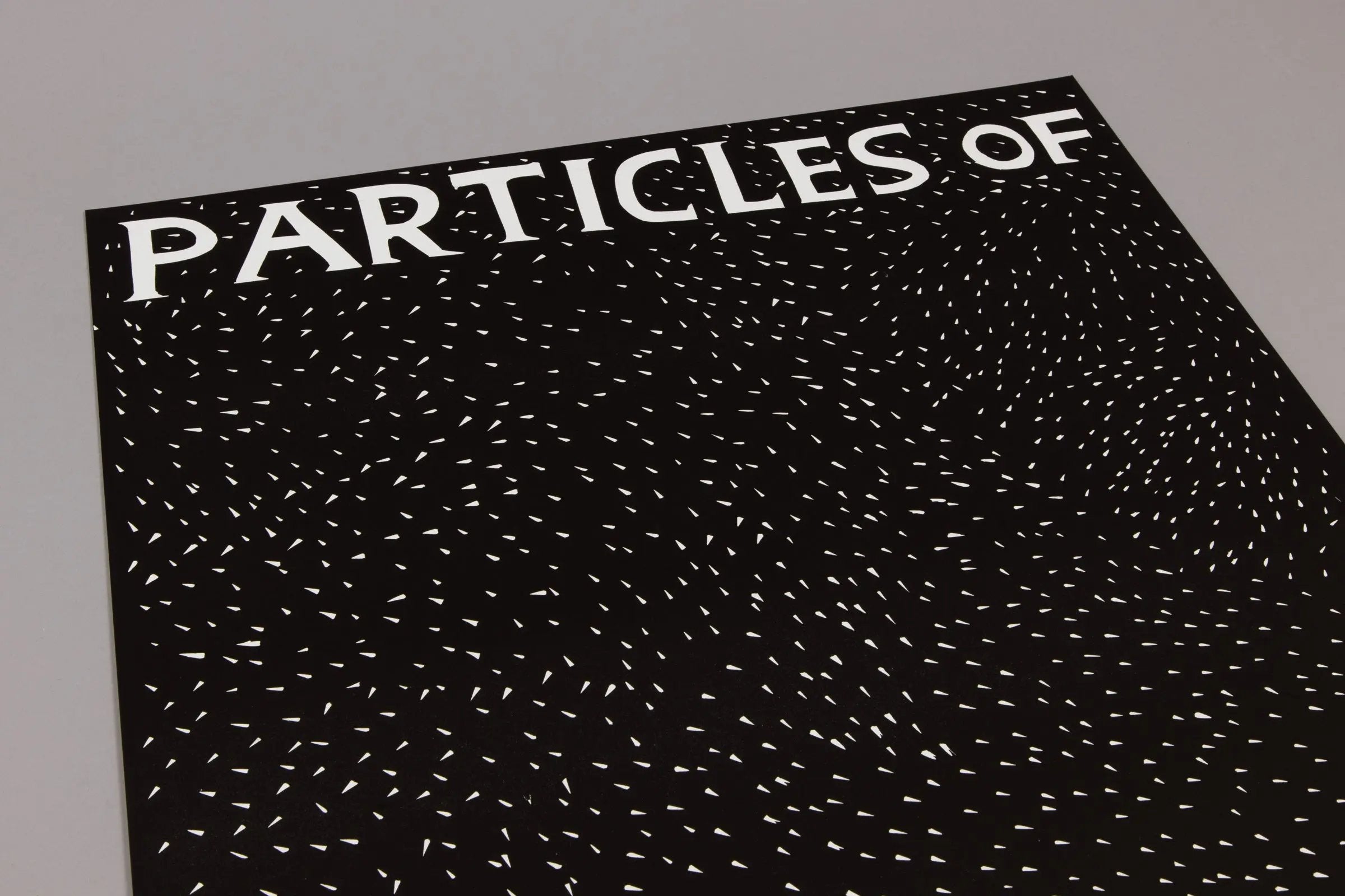 David Shrigley - Particles of Truth