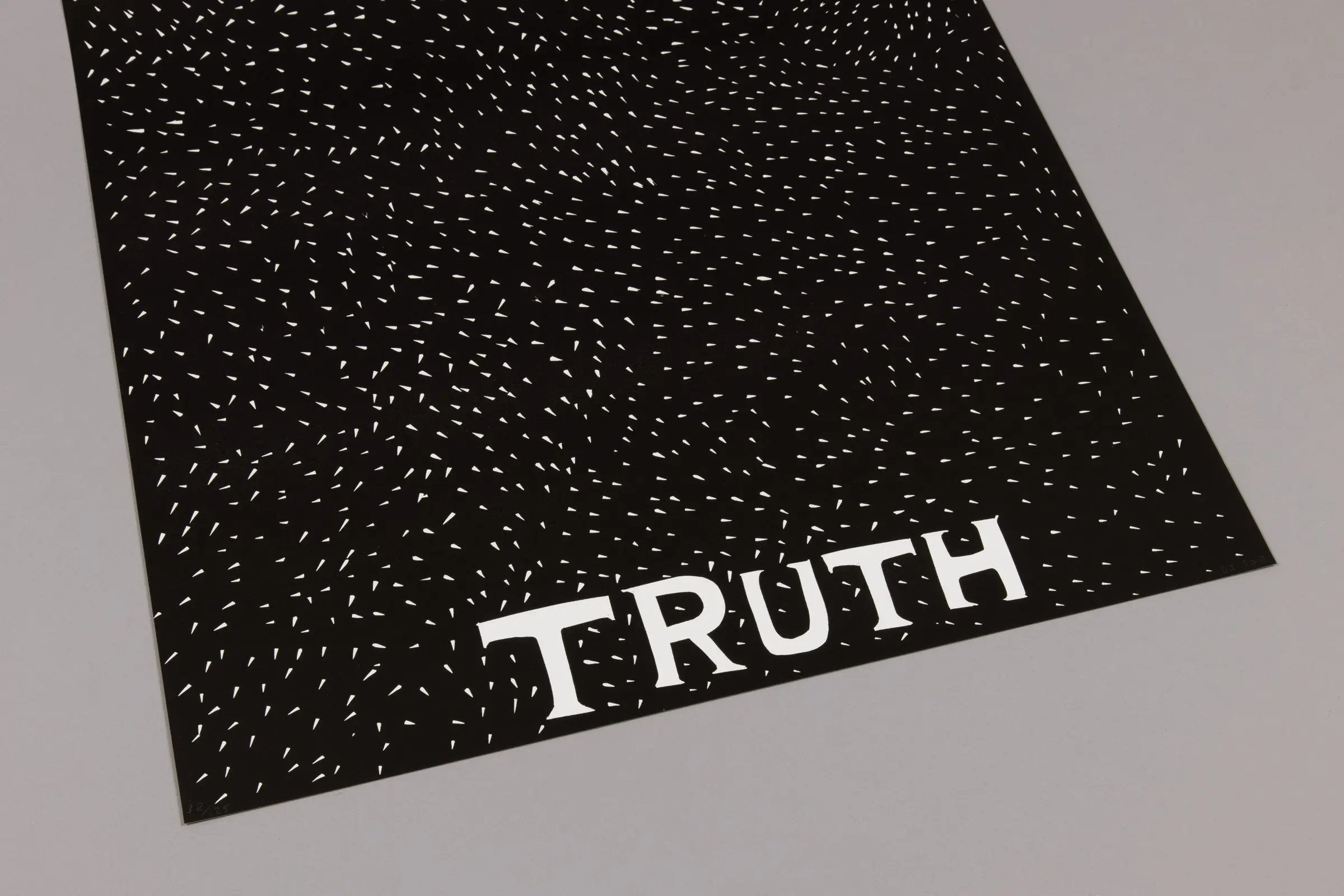 David Shrigley - Particles of Truth