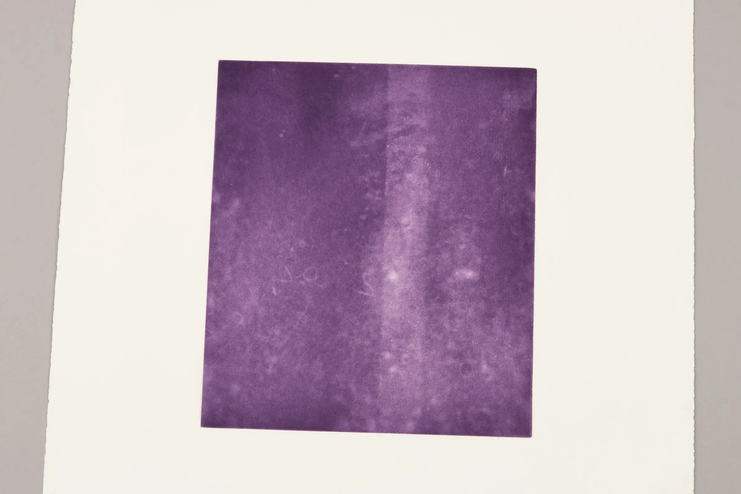 Rosemarie Trockel - Für Freunde und Förderer