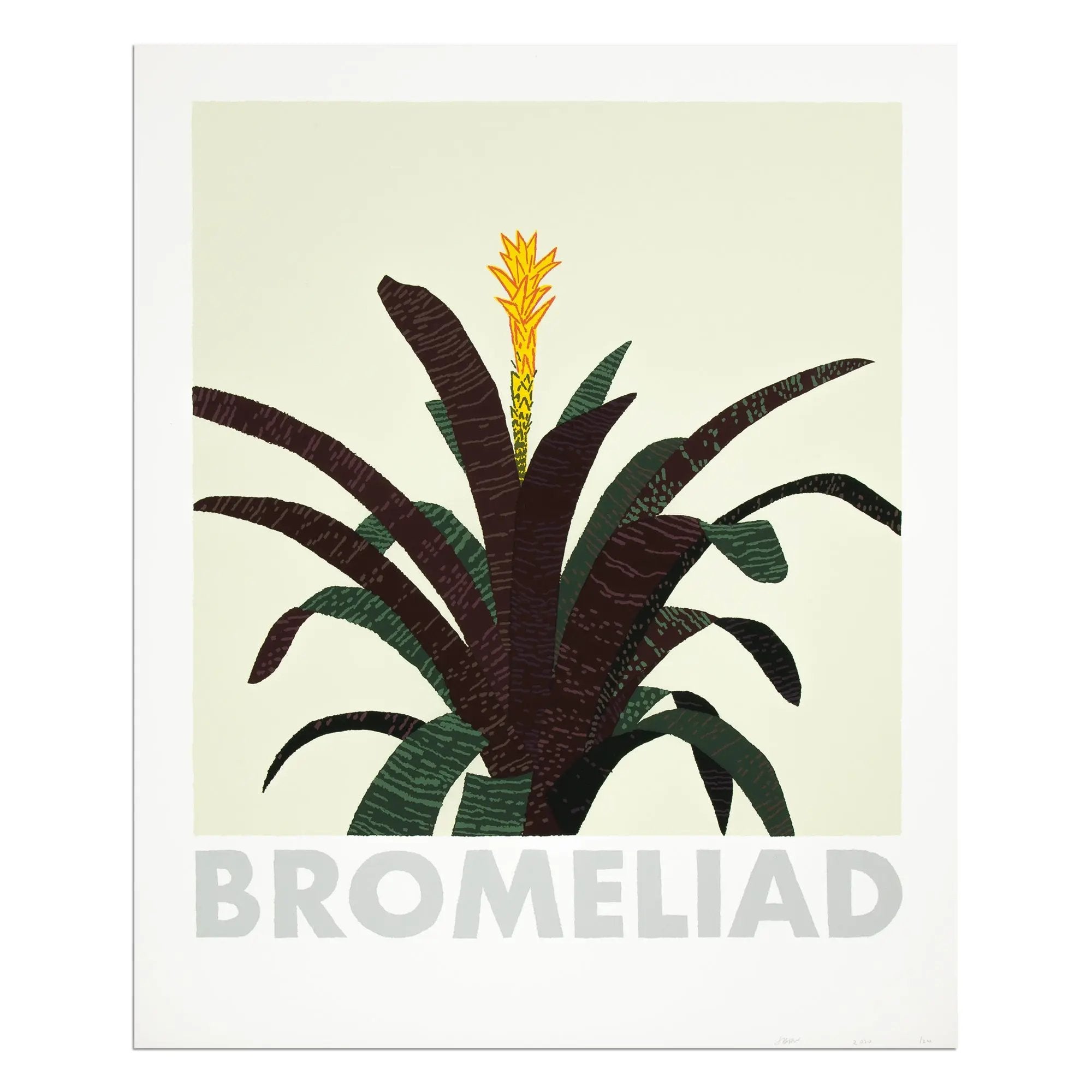 Jonas Wood - Bromeliad