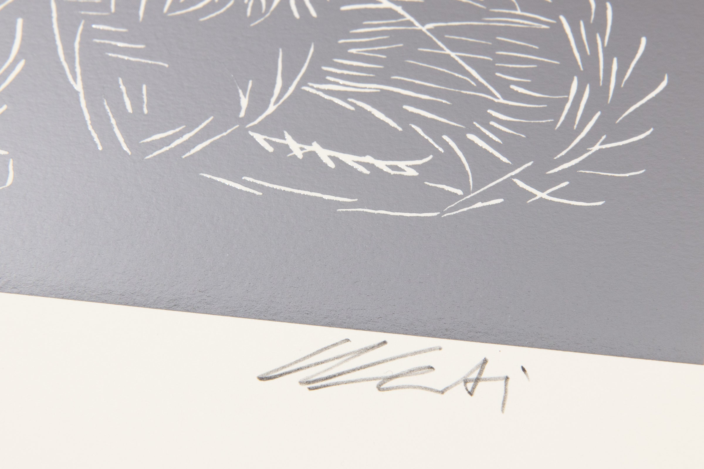 Ai Weiwei pencil signature on Cats Silver limited edition print
