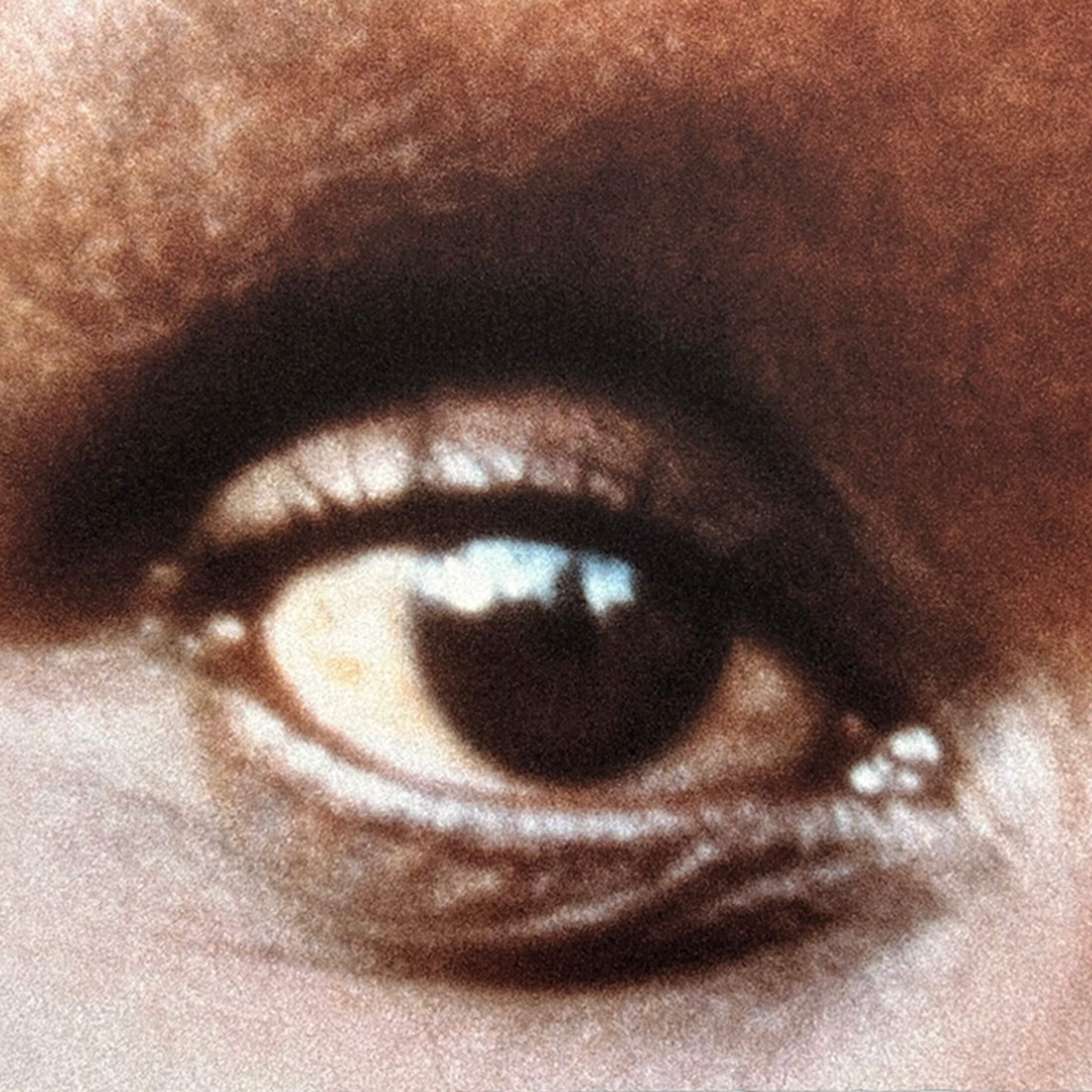 Alfredo Jaar – The Eyes of Gutete Emerita
