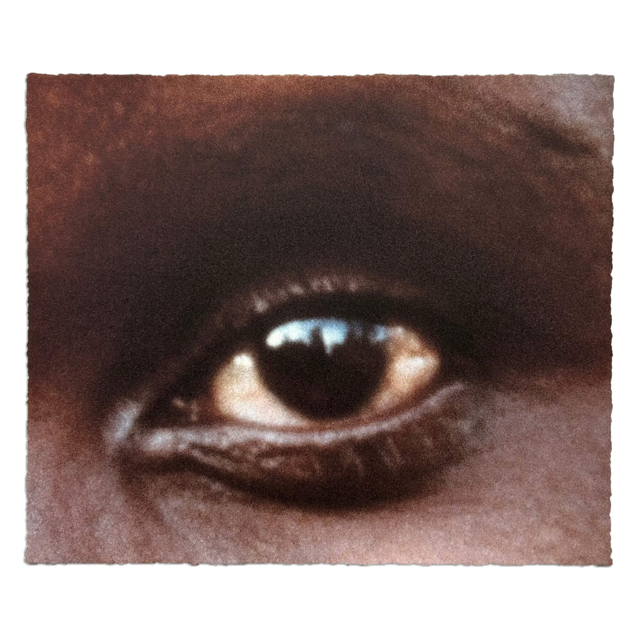 Alfredo Jaar – The Eyes of Gutete Emerita