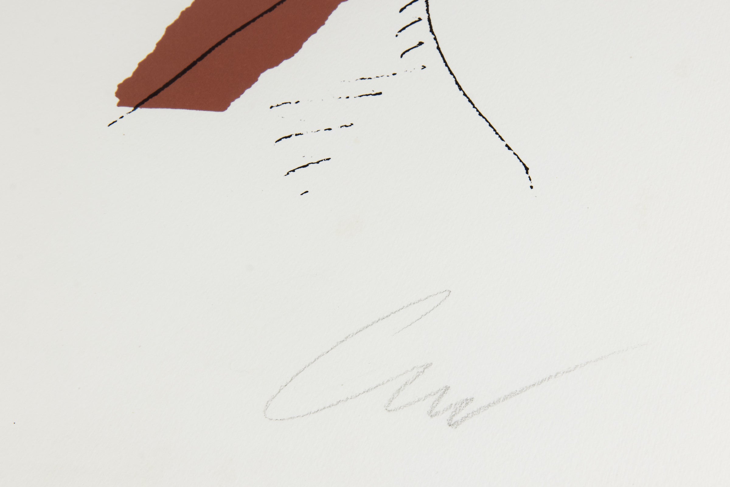 Andy Warhol – Ladies and Gentlemen