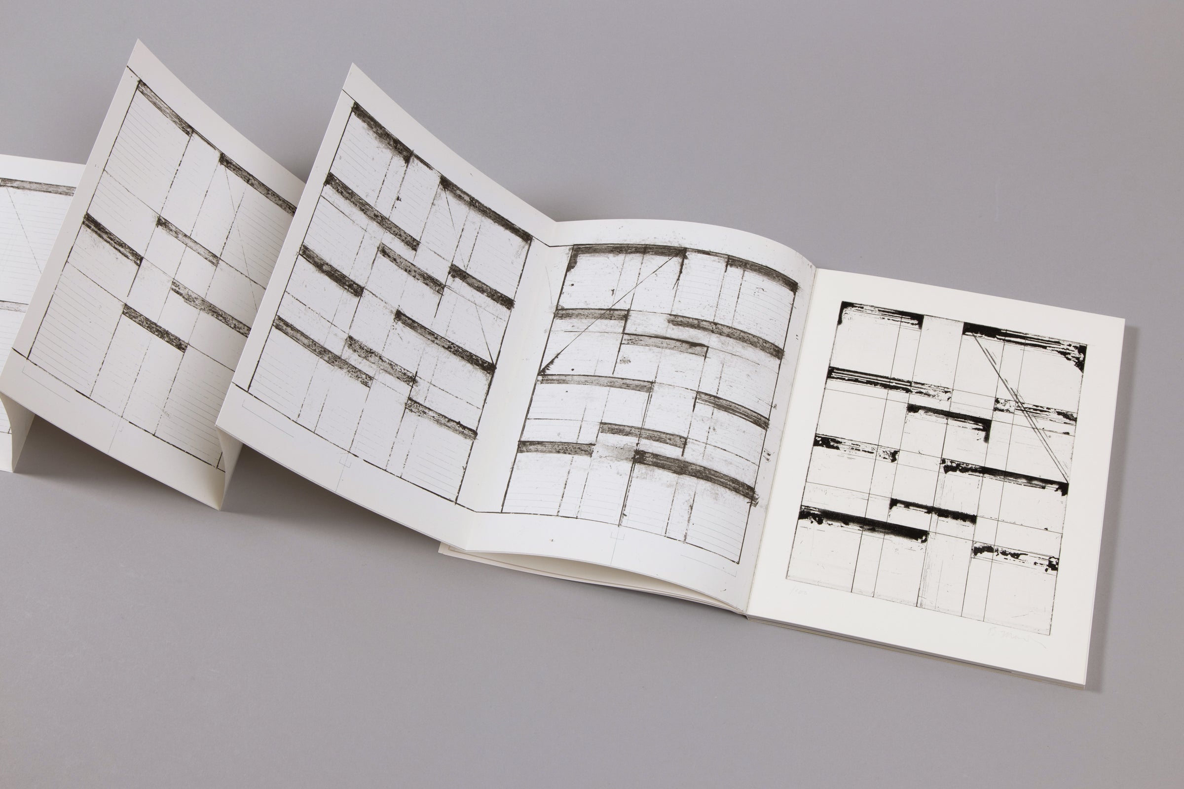 Brice Marden - Etching for Parkett