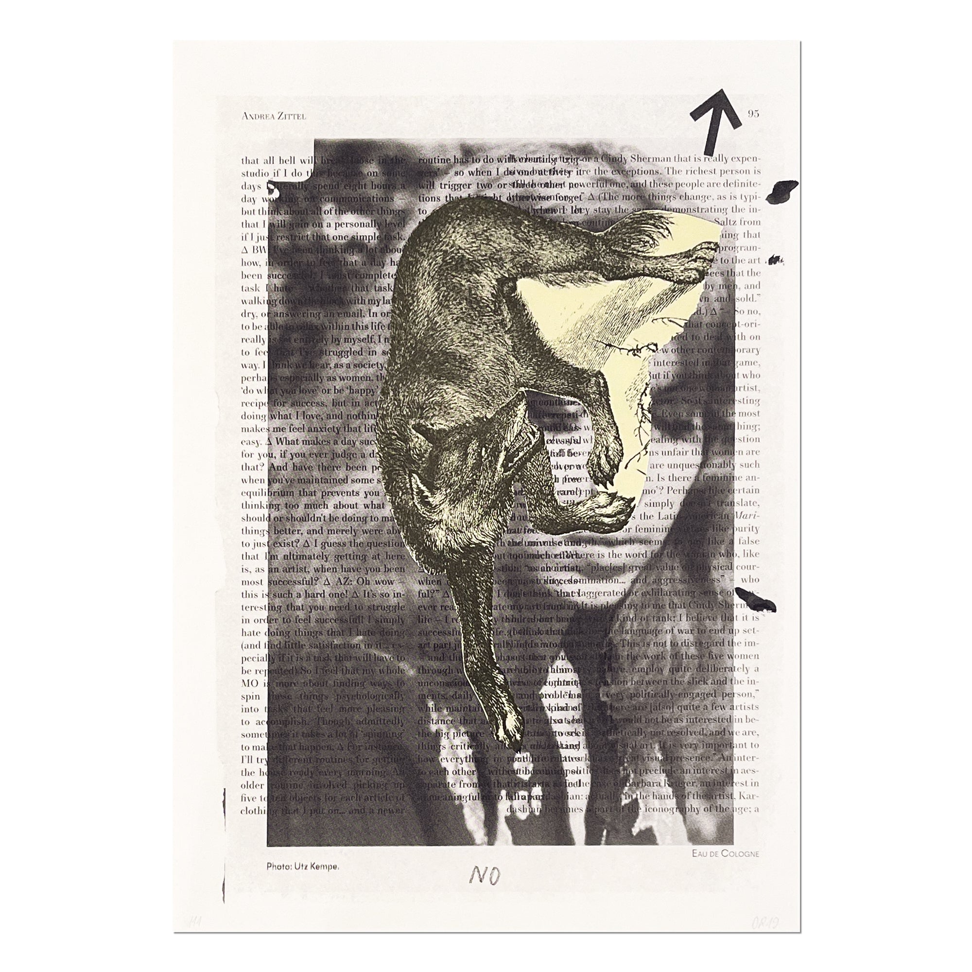 Daniel Richter – Untitled (Fuchs) | Art Editions