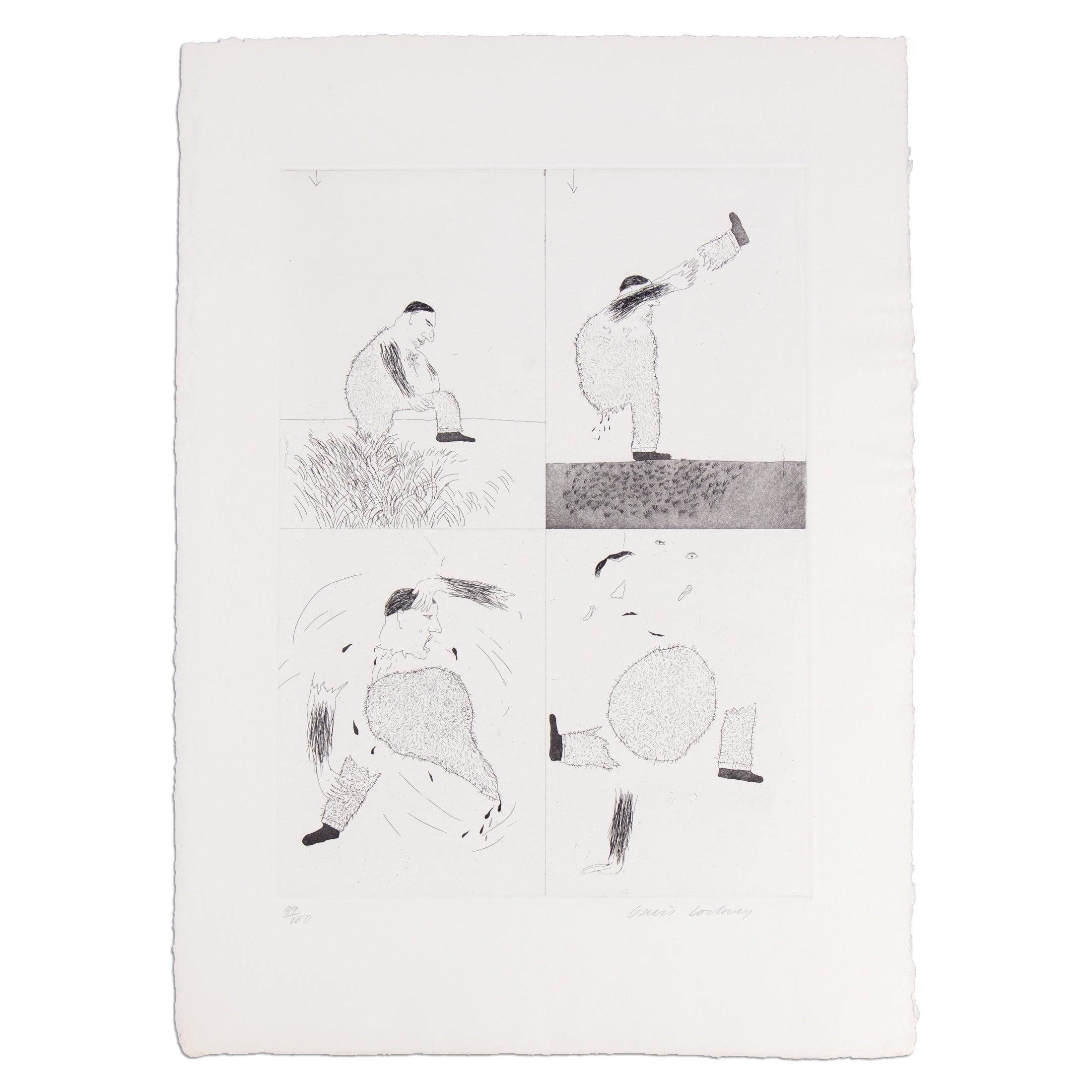 David Hockney – He Tore Himself To Pieces