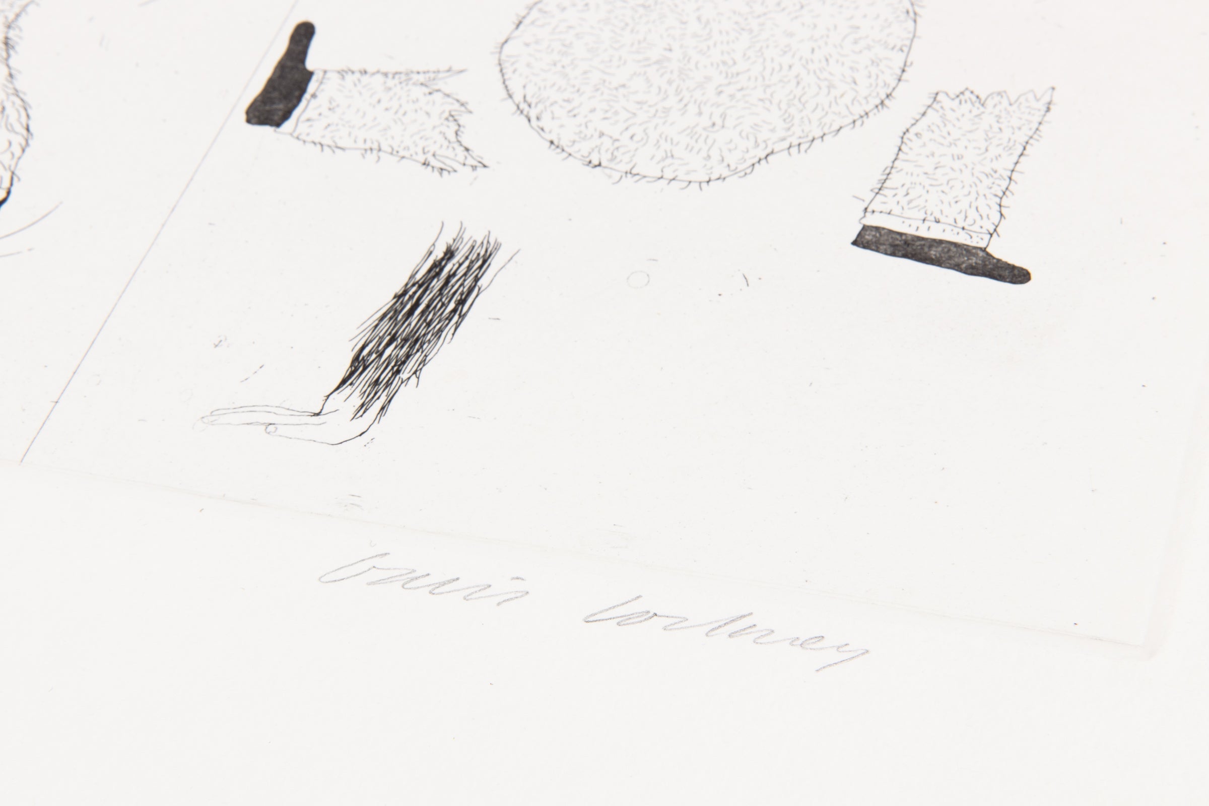 David Hockney – He Tore Himself To Pieces