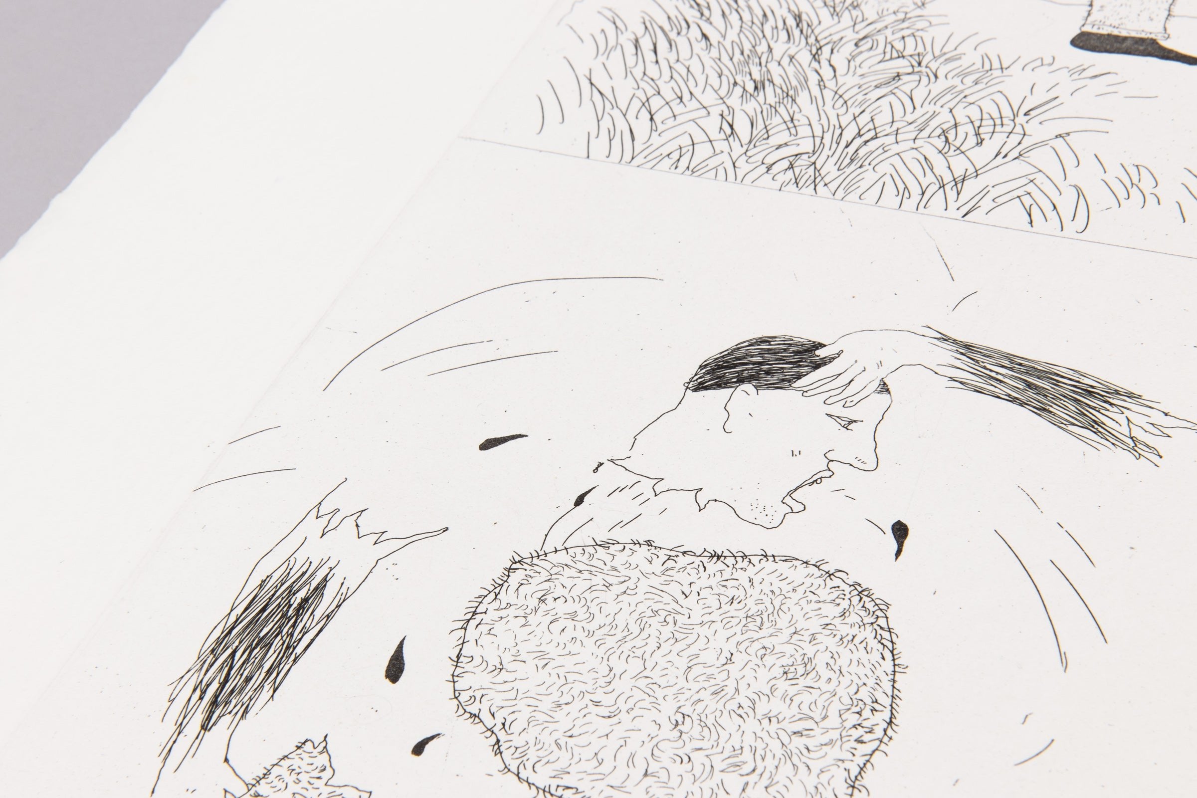 David Hockney – He Tore Himself To Pieces