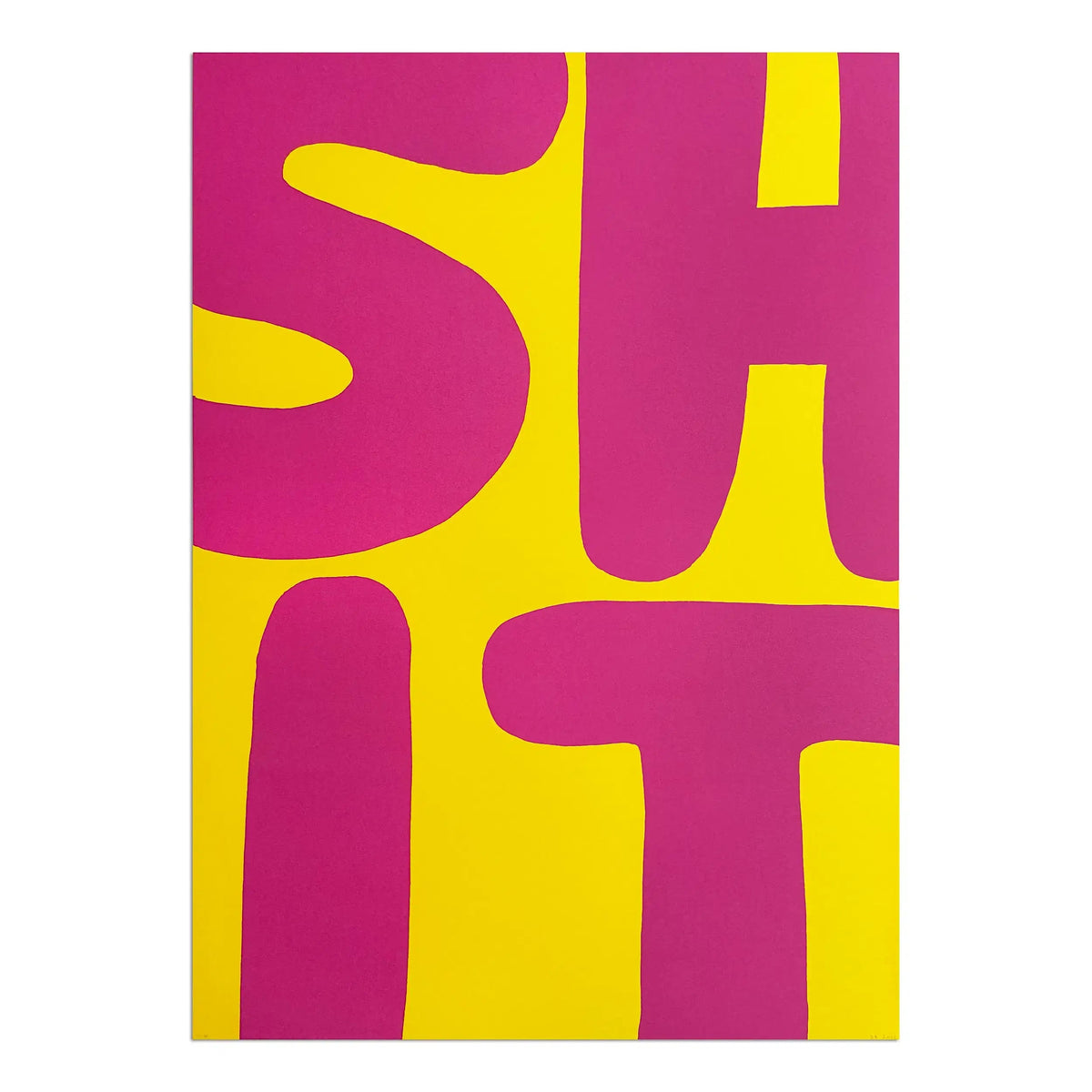 David Shrigley – Everyone Likes Colourful Shit | Signed Print