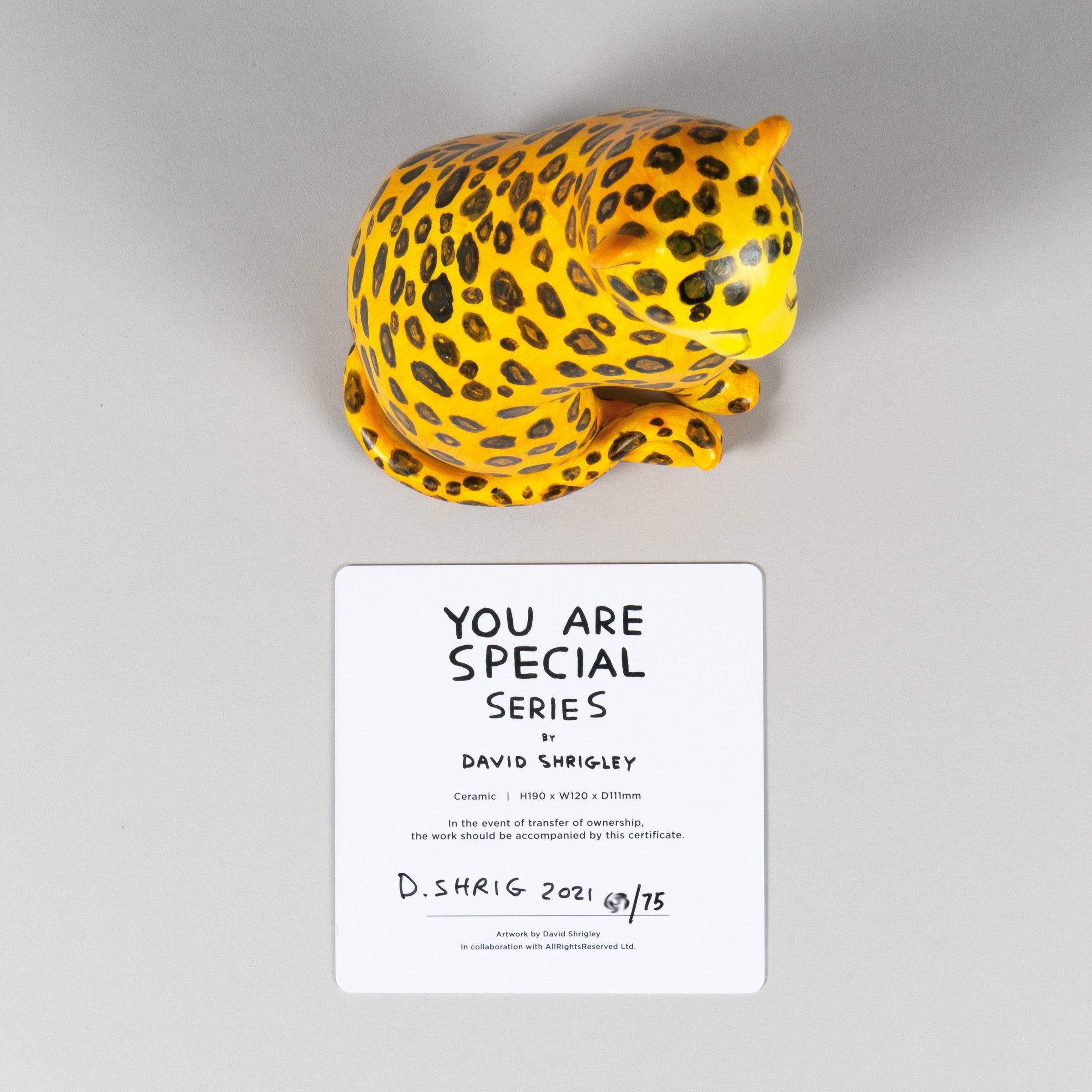 David Shrigley - I Cannot Change my Spots