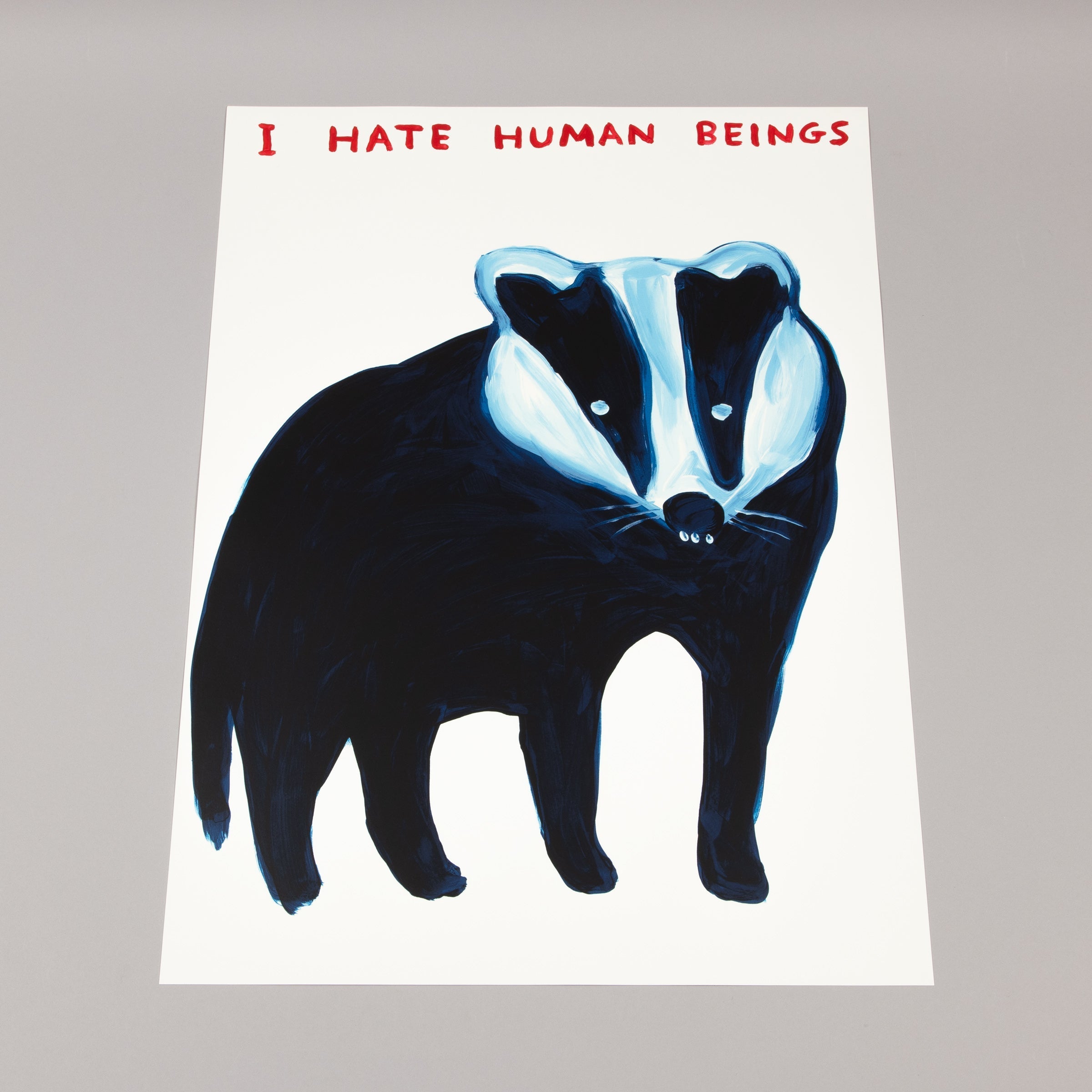 David Shrigley - I Hate Human Beings