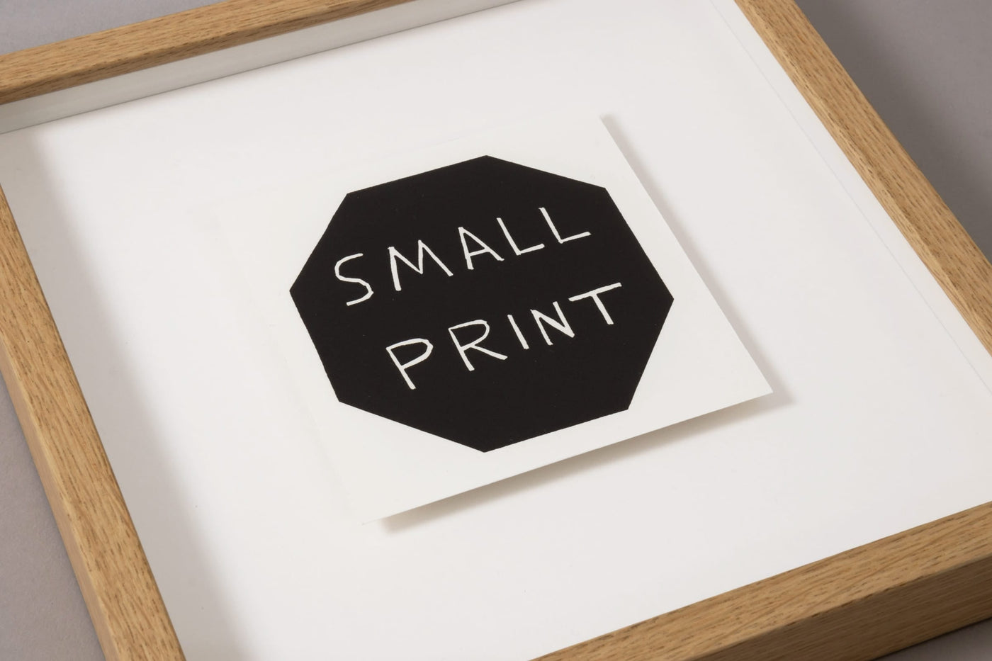 David Shrigley - Small Print