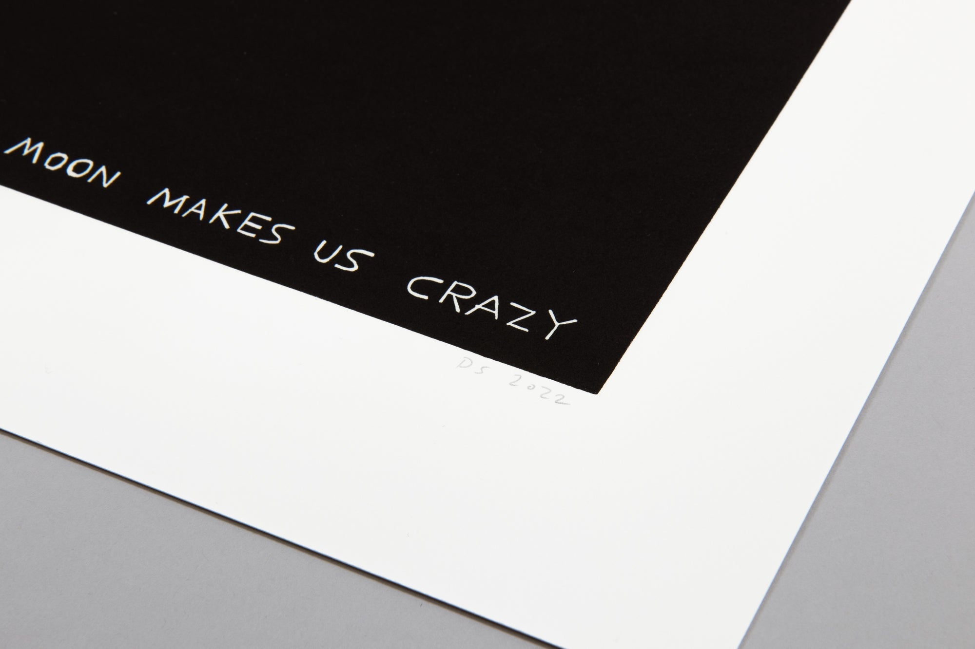 David Shrigley - The Moon Makes Us Crazy