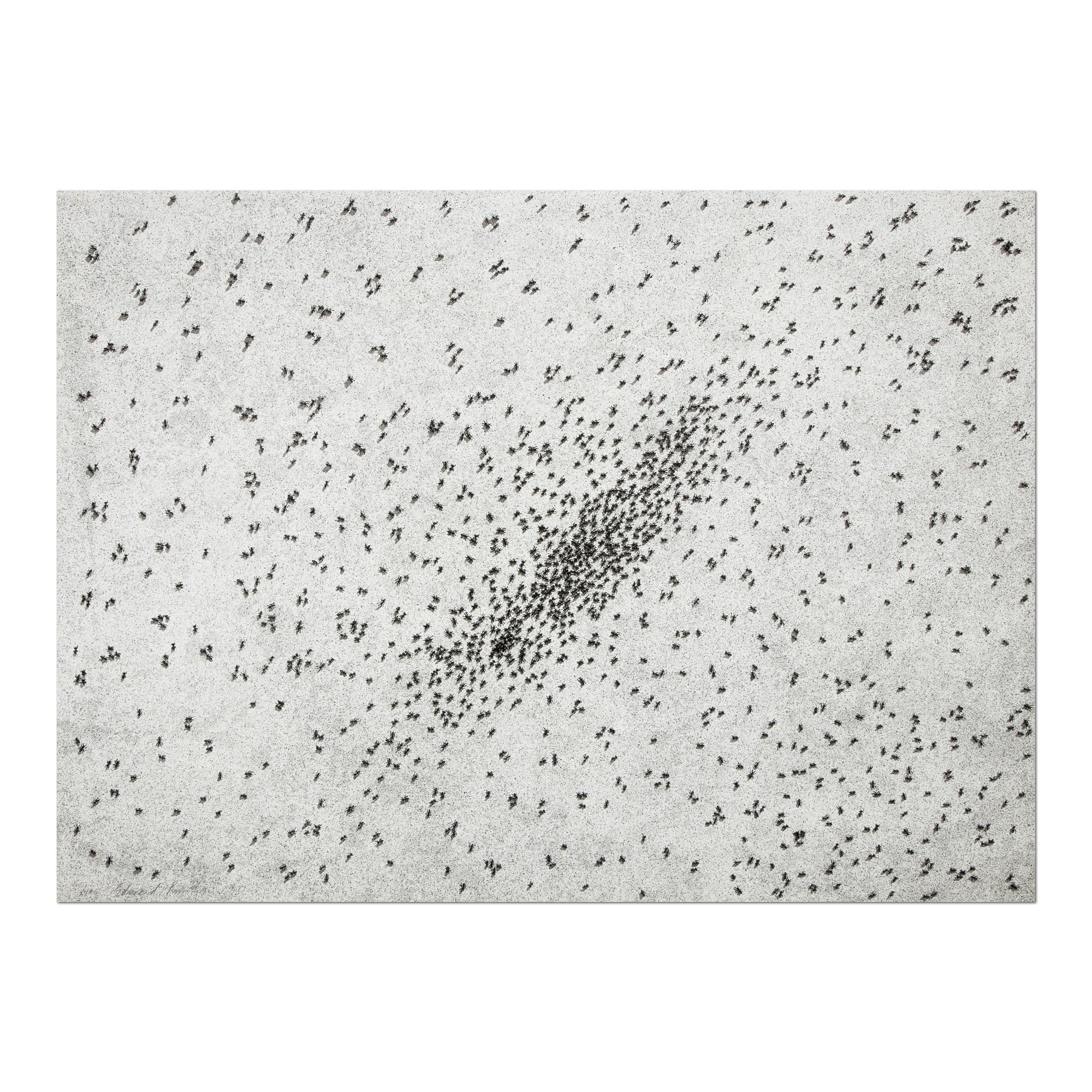 Ed Ruscha - Insect Slant (Ants)