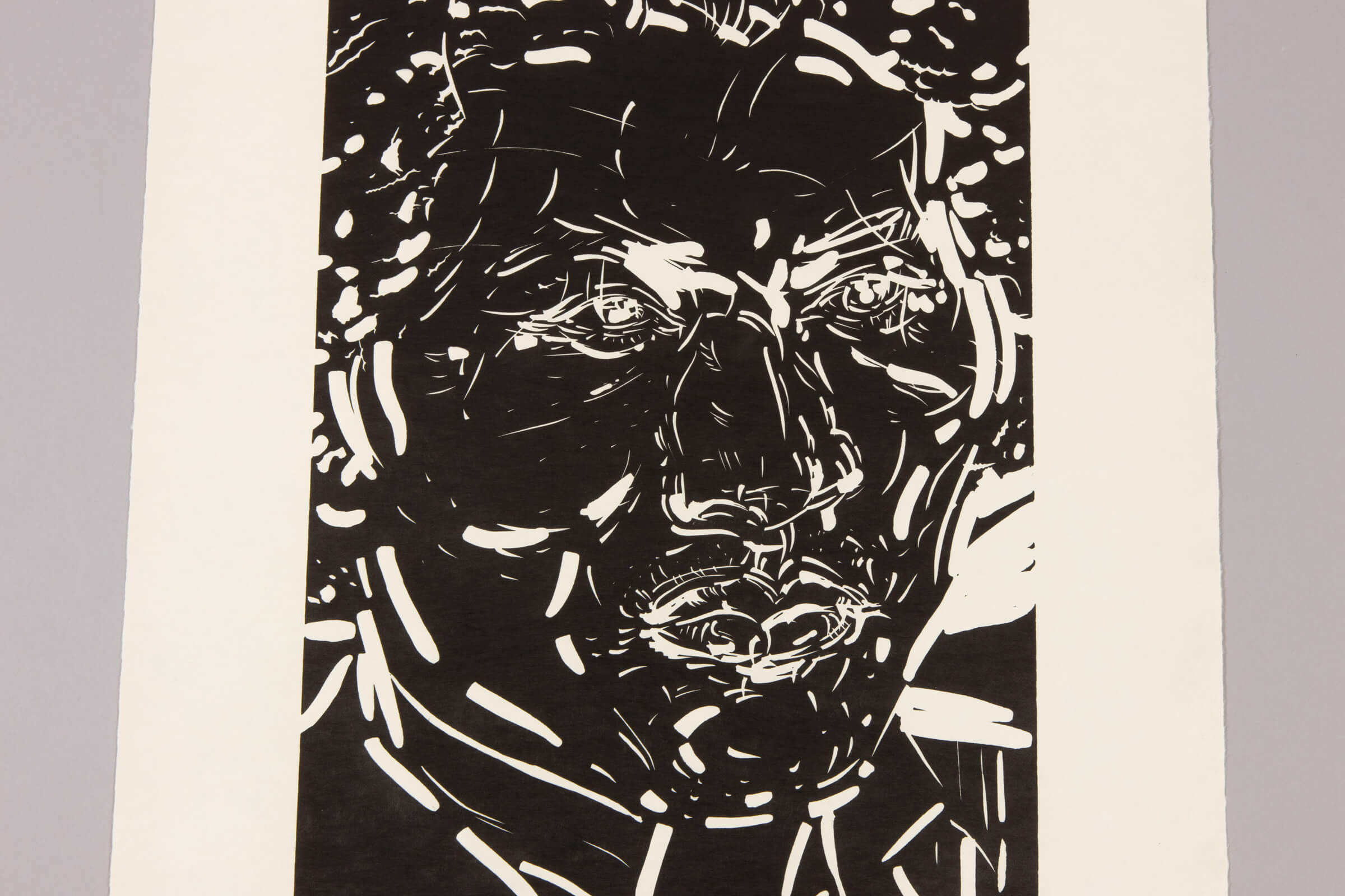 Elizabeth Peyton - Frederick Douglass