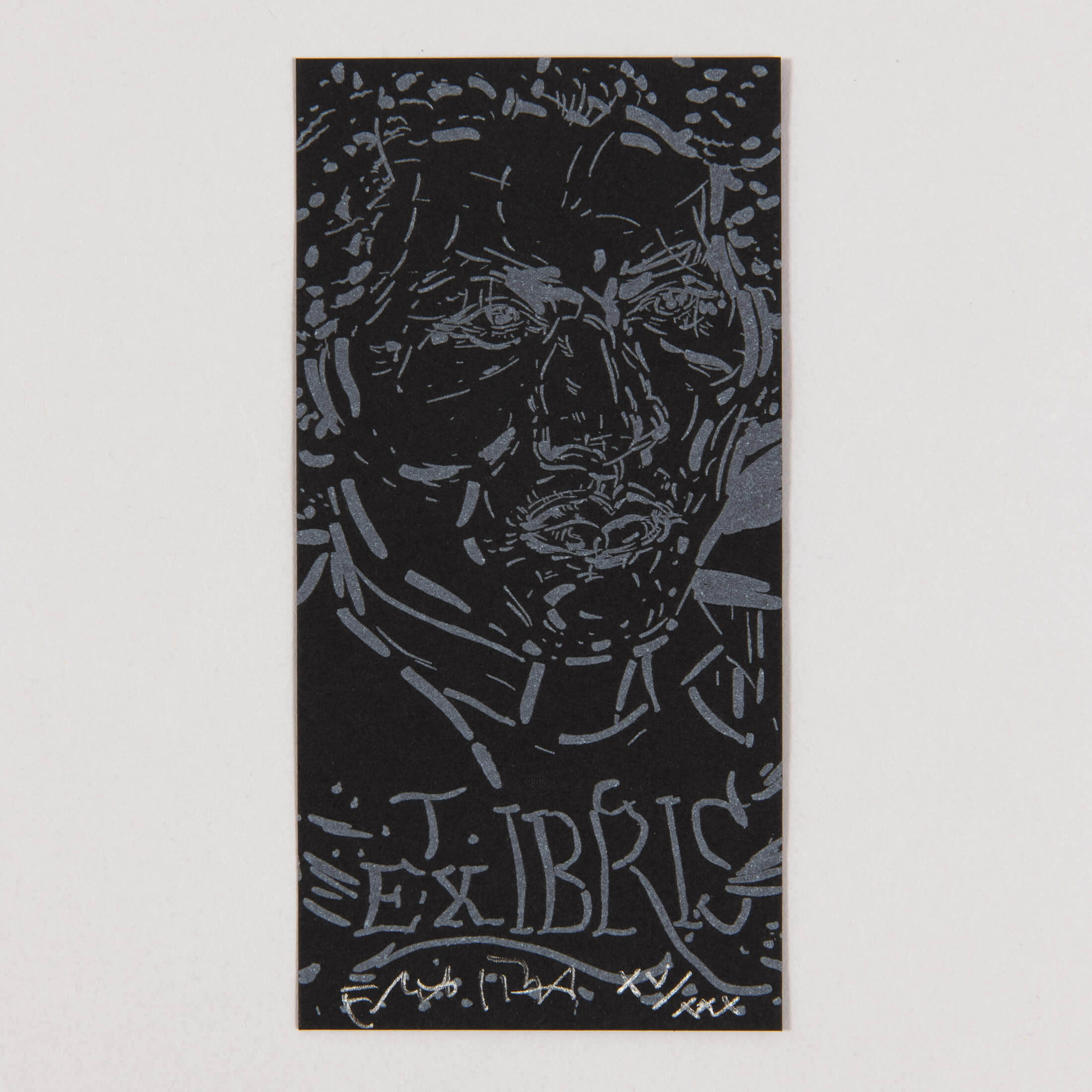 Elizabeth Peyton - Frederick Douglass