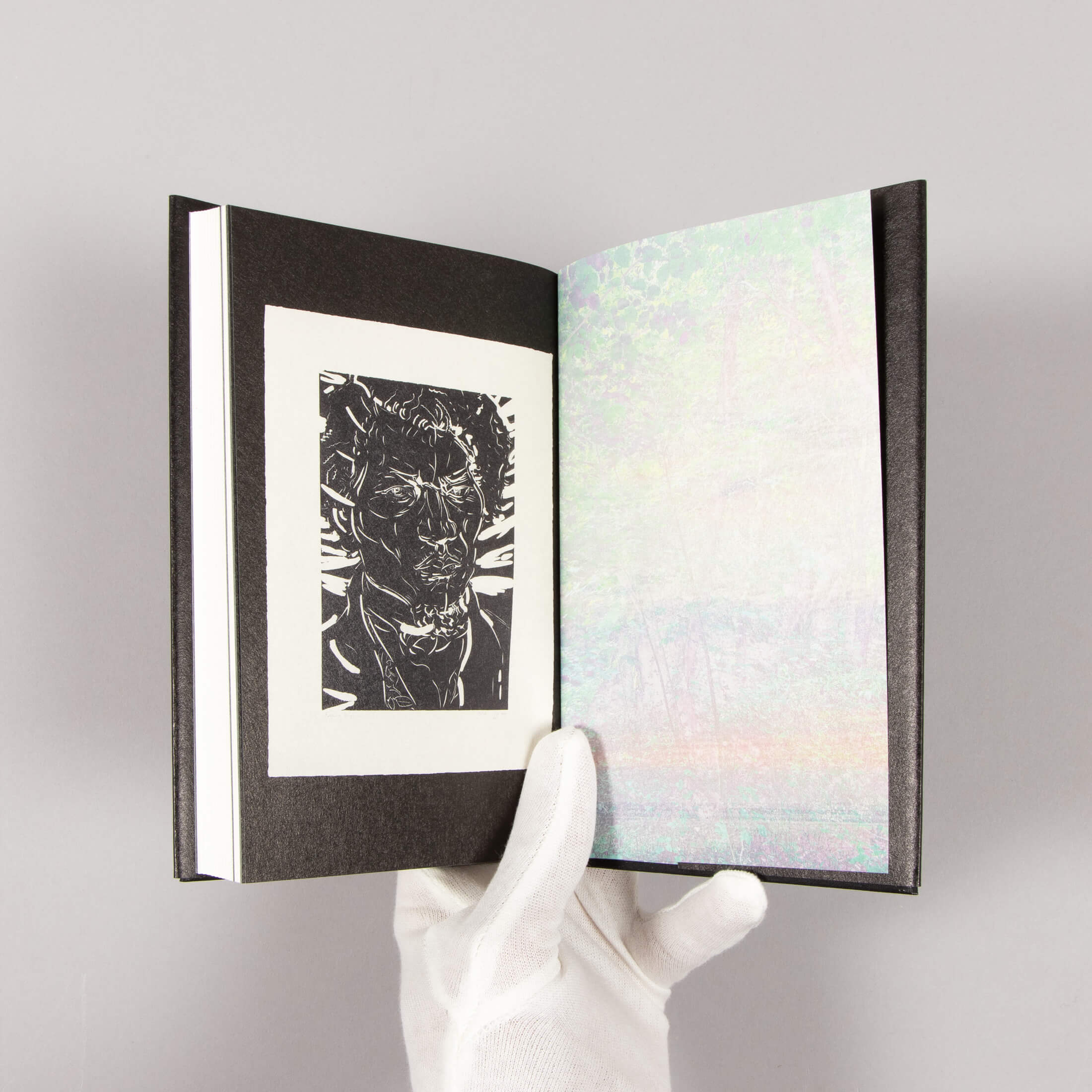 Elizabeth Peyton - Frederick Douglass