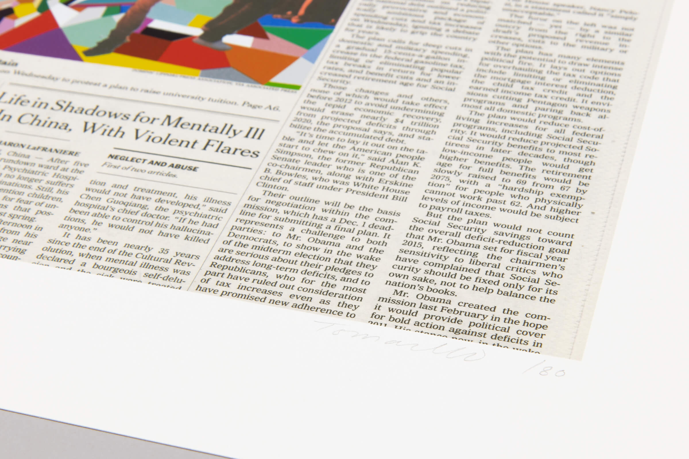 Fred Tomaselli – Nov. 11, 2010