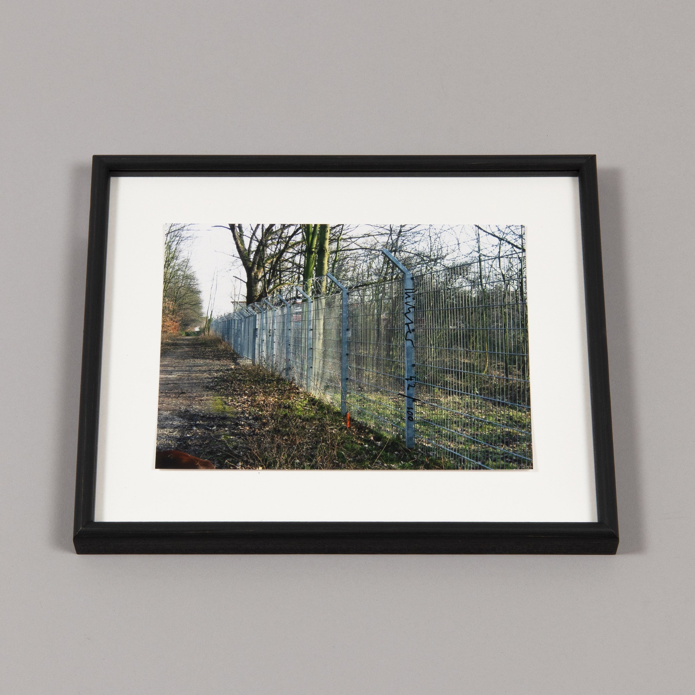 Gerhard Richter - Zaun