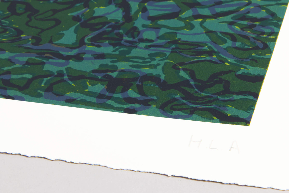 Hurvin Anderson – The Raft