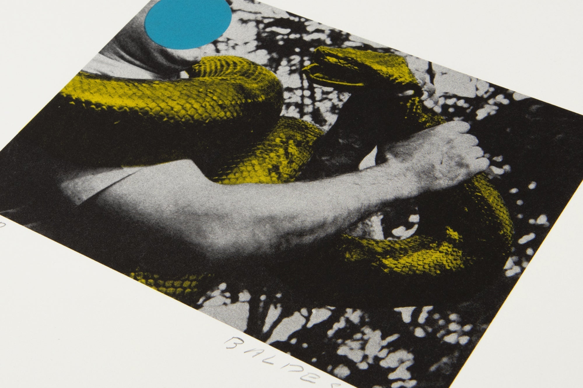 John Baldessari - Man with Snake
