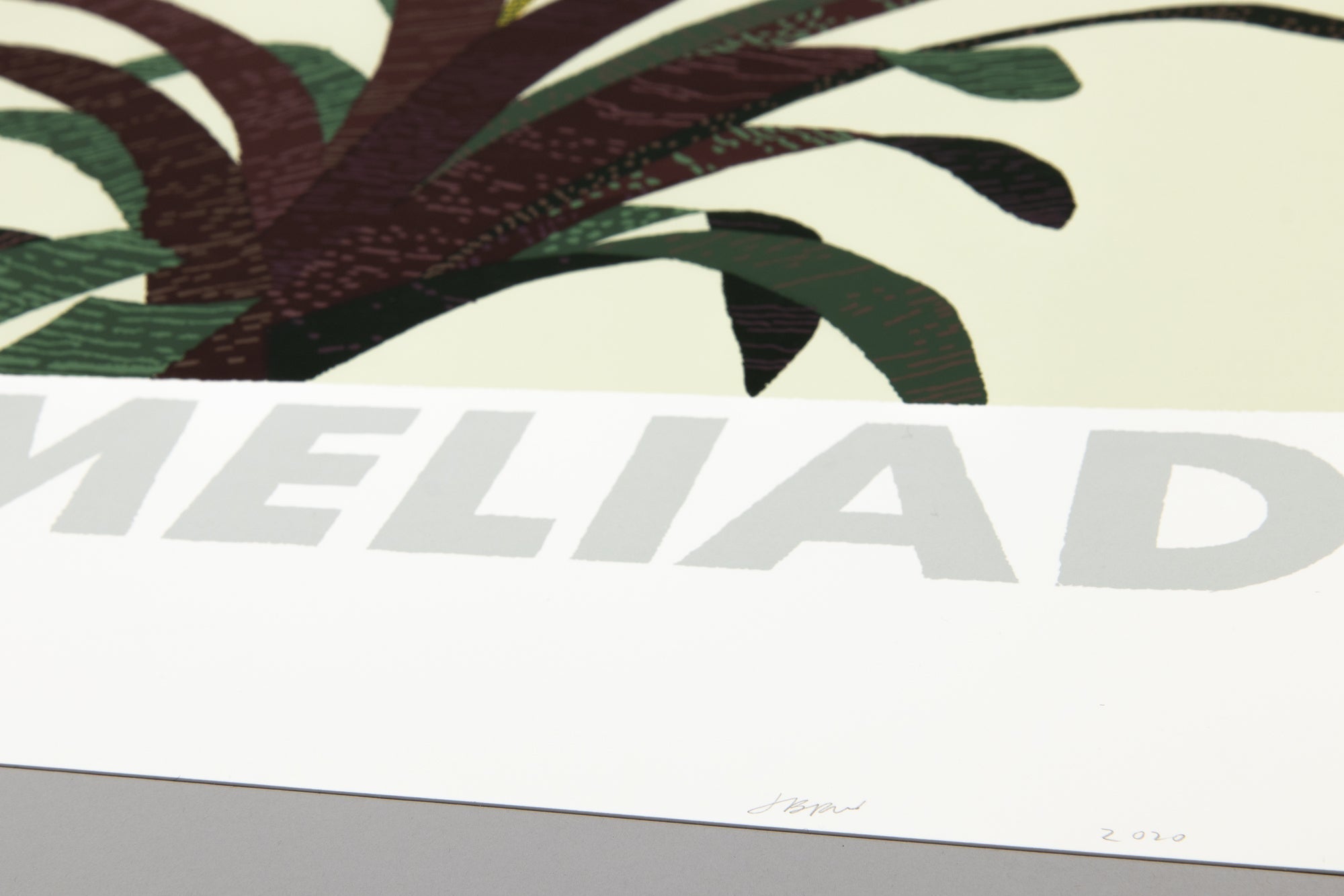 Jonas Wood - Bromeliad