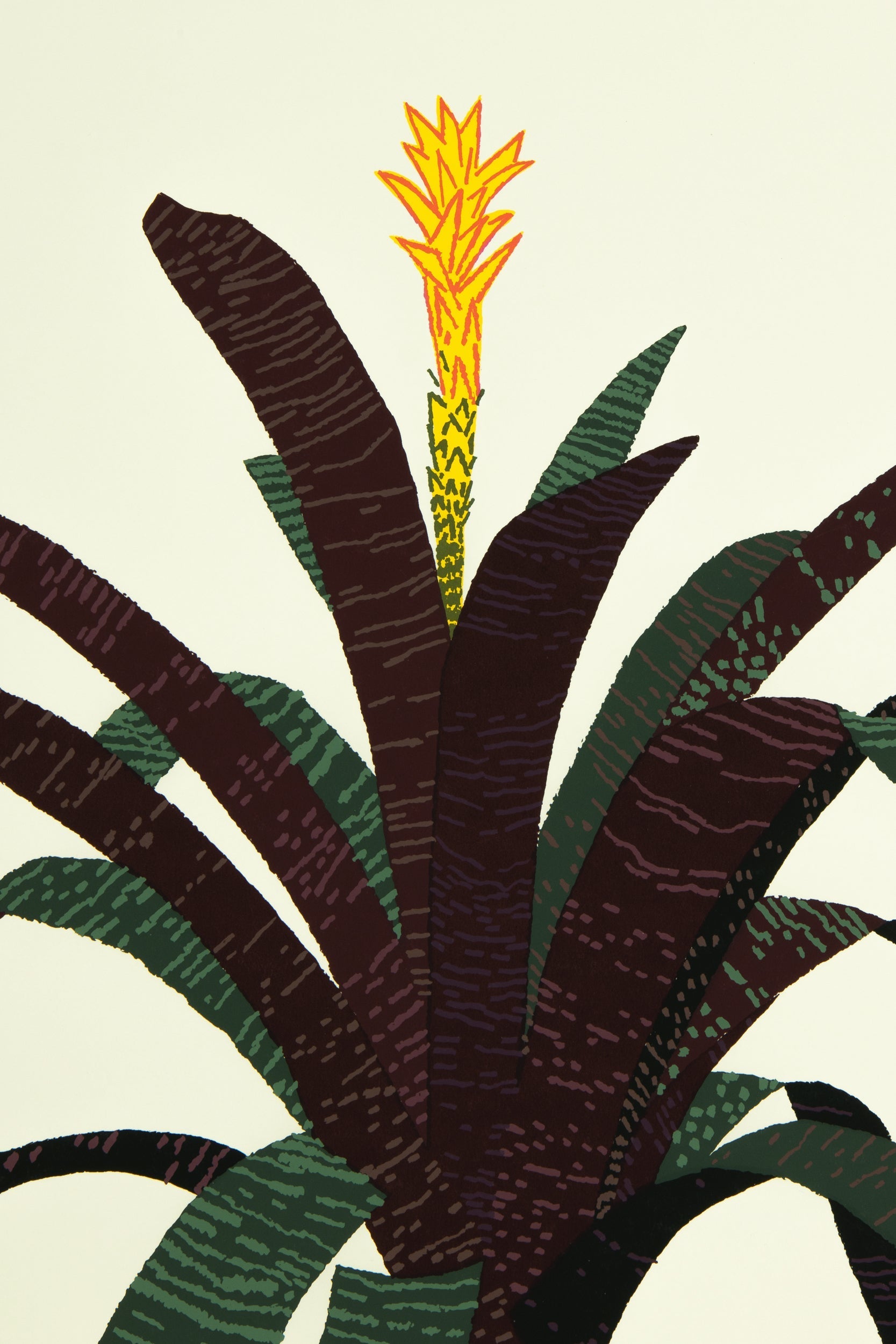 Jonas Wood - Bromeliad