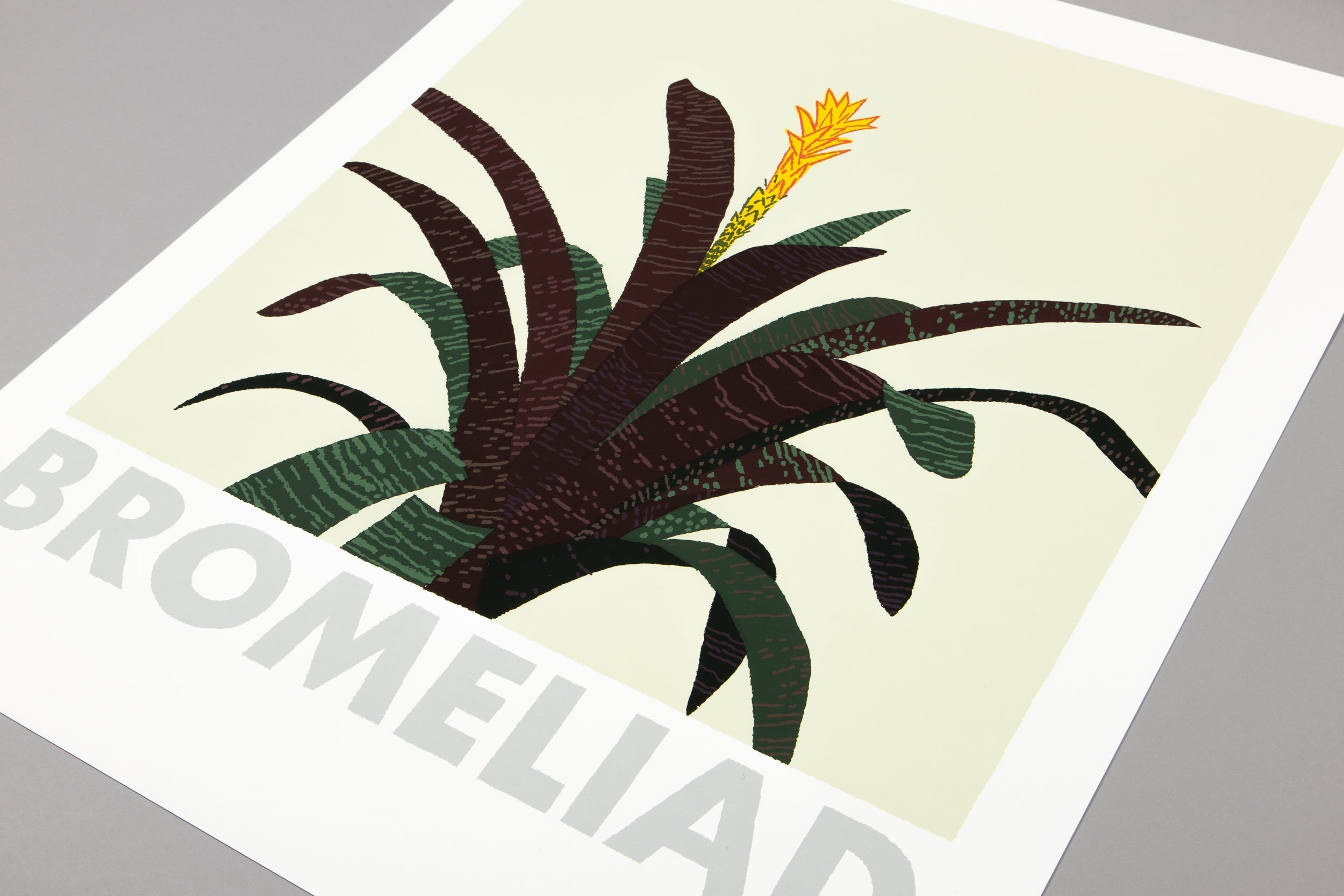 Jonas Wood - Bromeliad