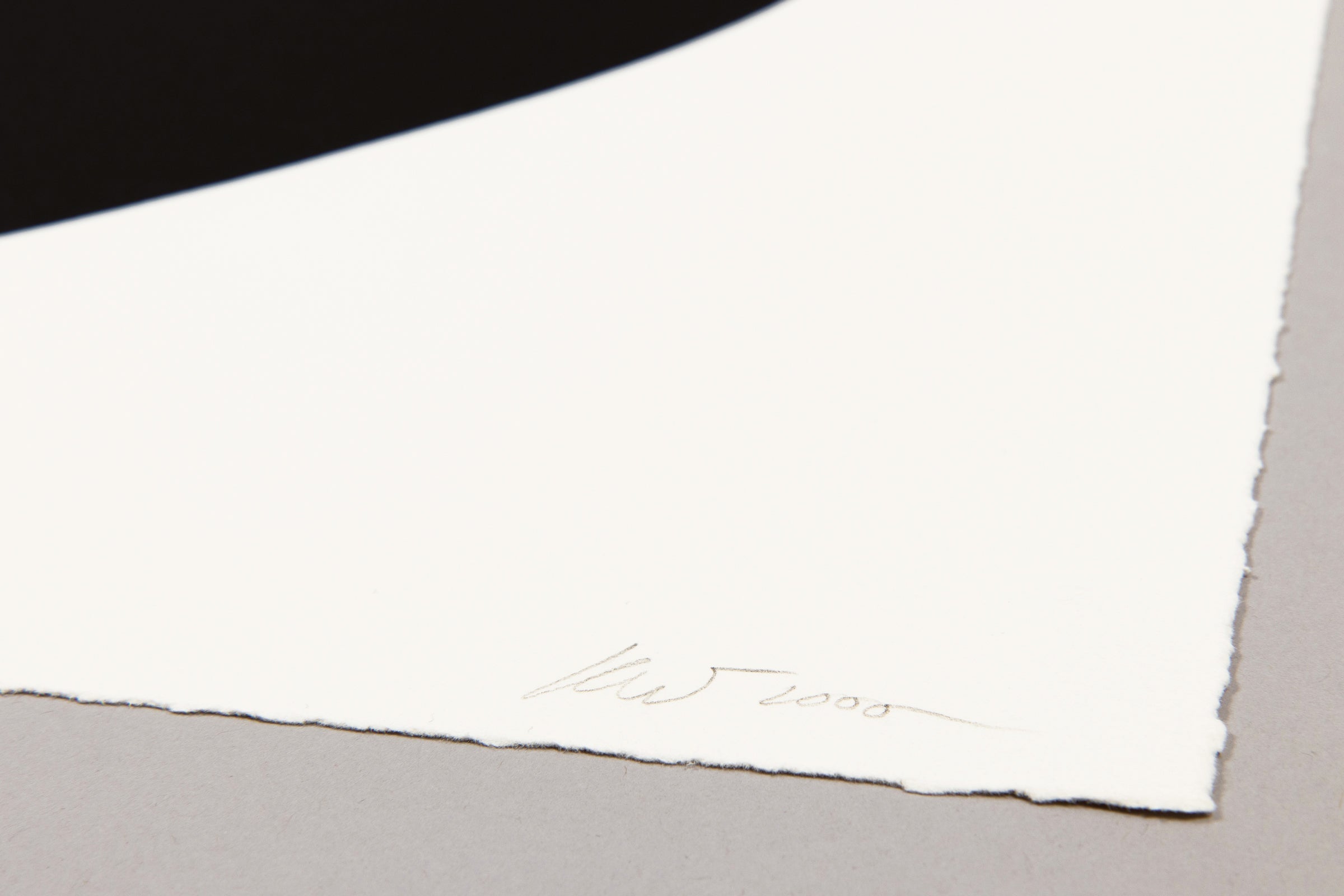 Kara Walker - Boo-Hoo