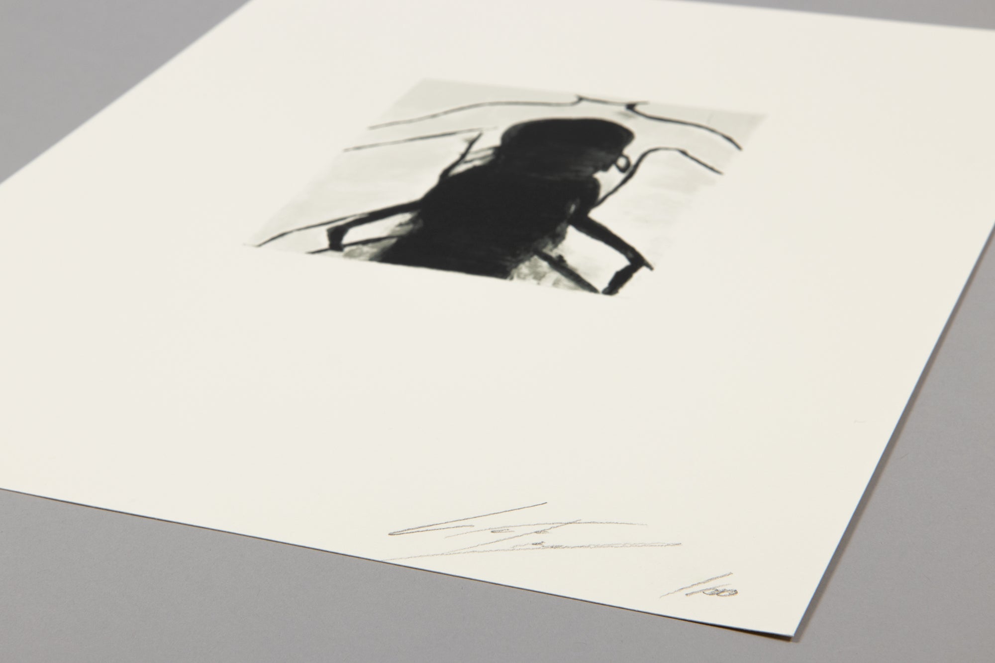 Luc Tuymans - Superstition