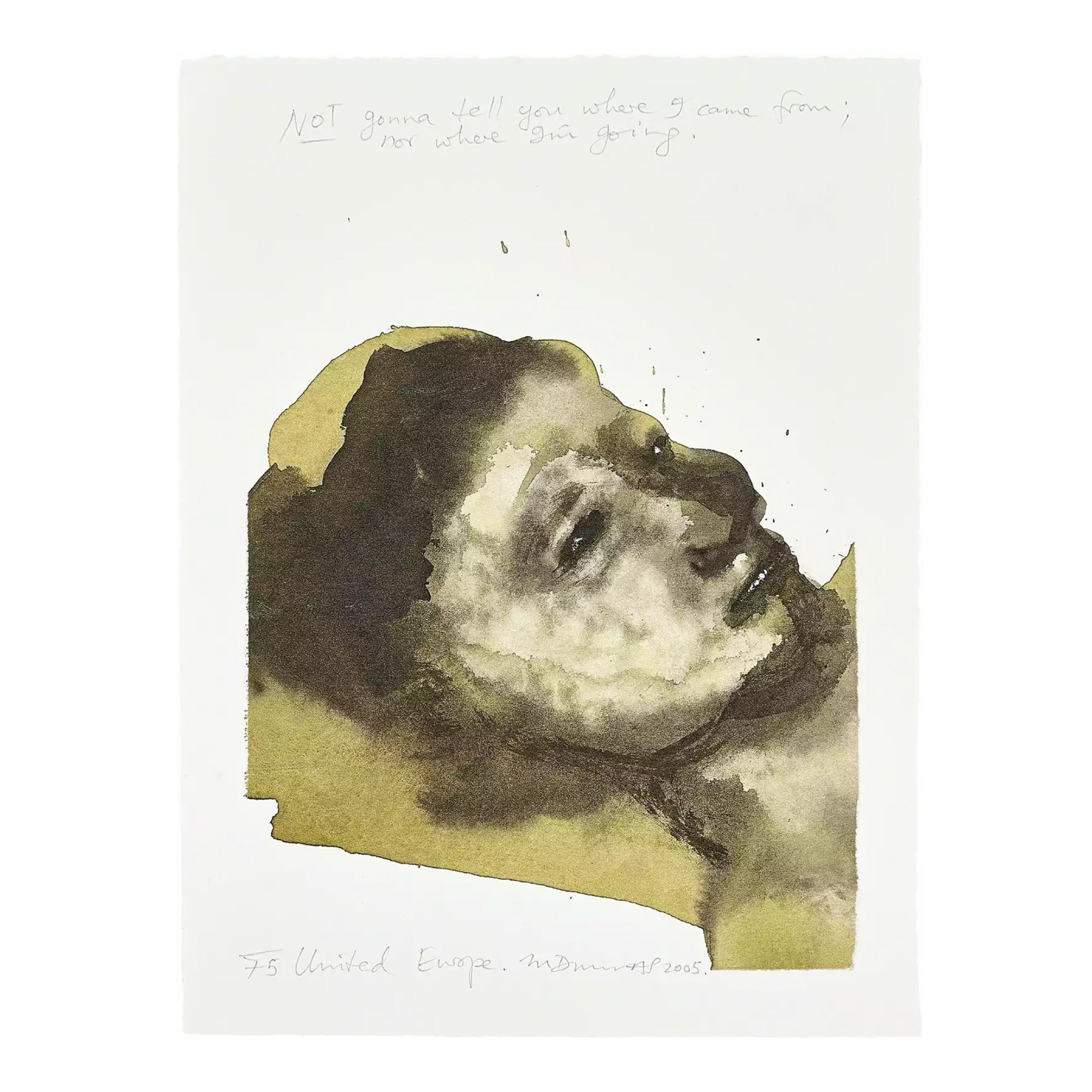 Marlene Dumas - United Europe
