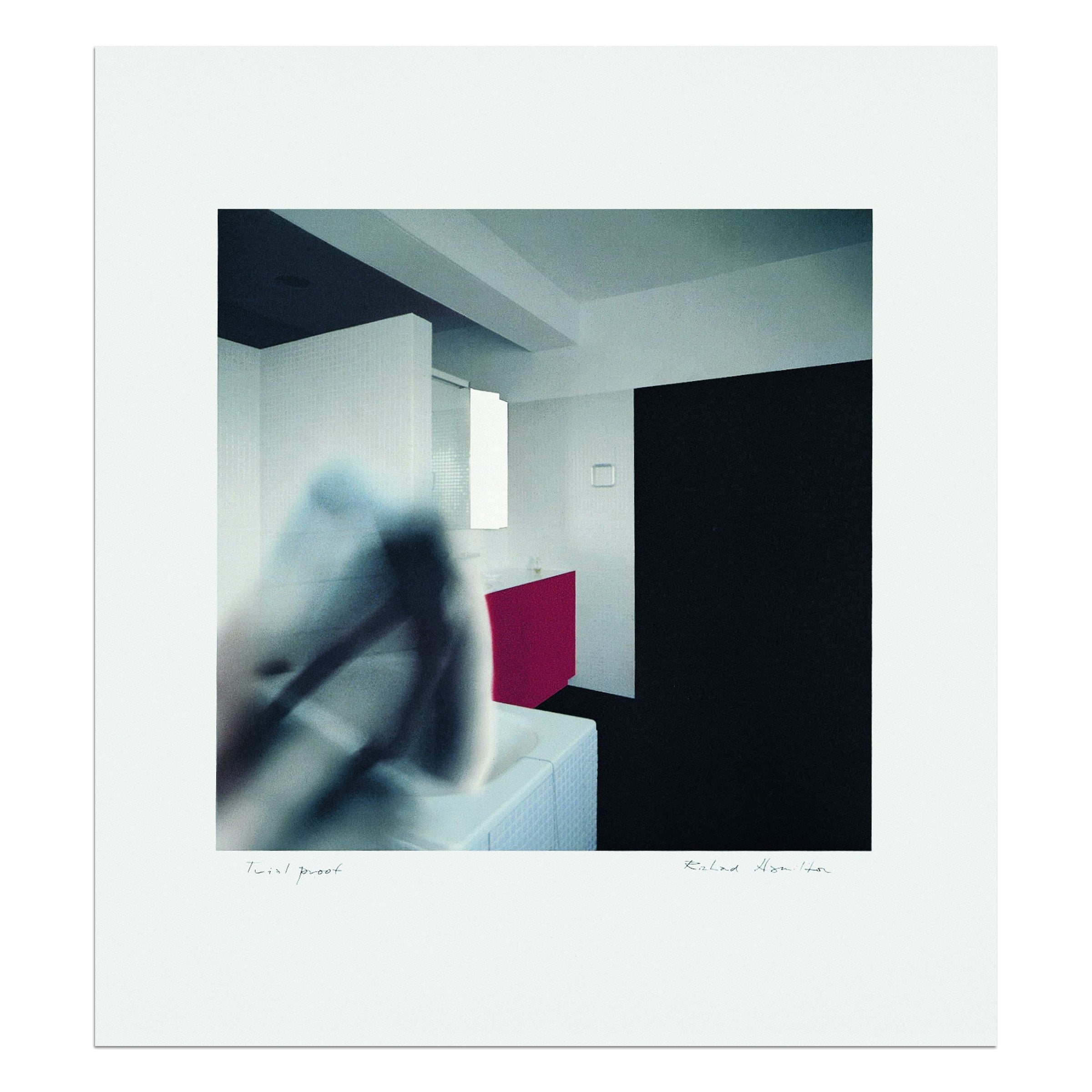 richard-hamilton-bathroom-fig-