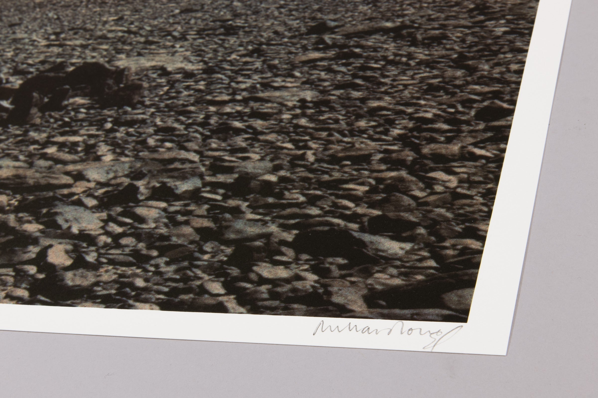 Richard Long - Two Sahara Works