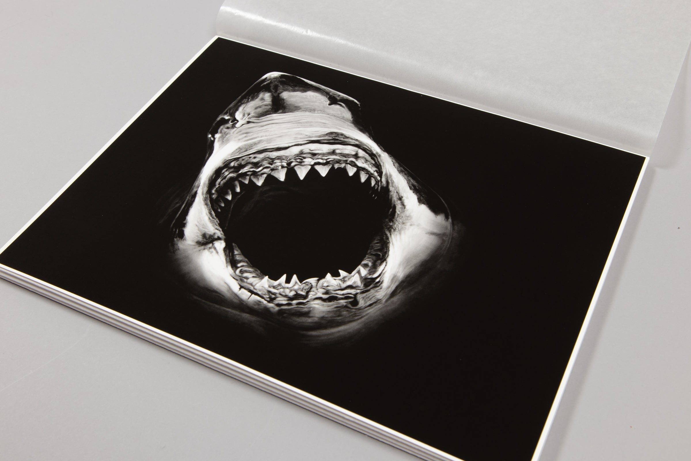 Robert Longo – Essentials