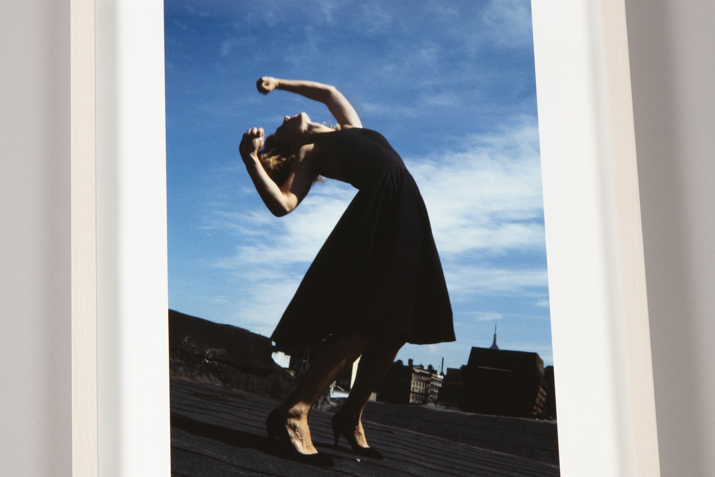 Robert Longo - Janet (from Men in the Cities)