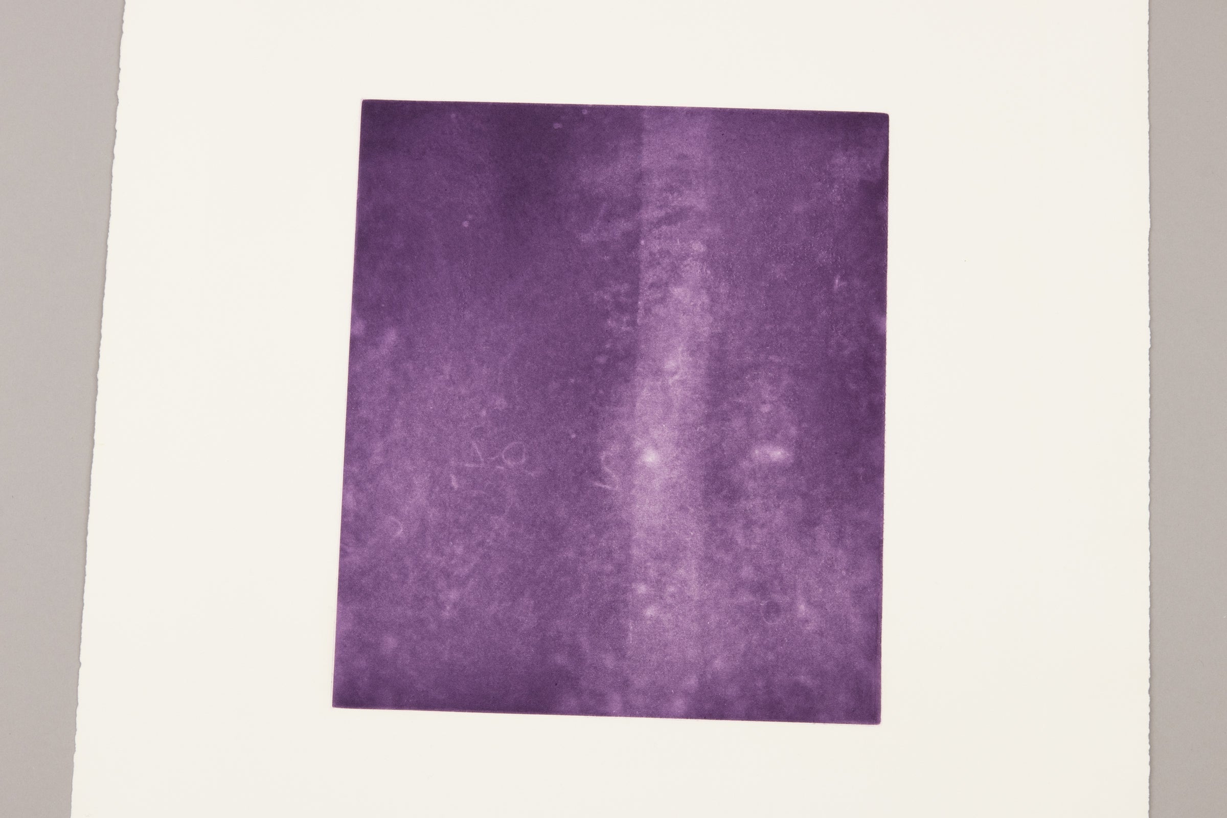 Rosemarie Trockel - Für Freunde und Förderer