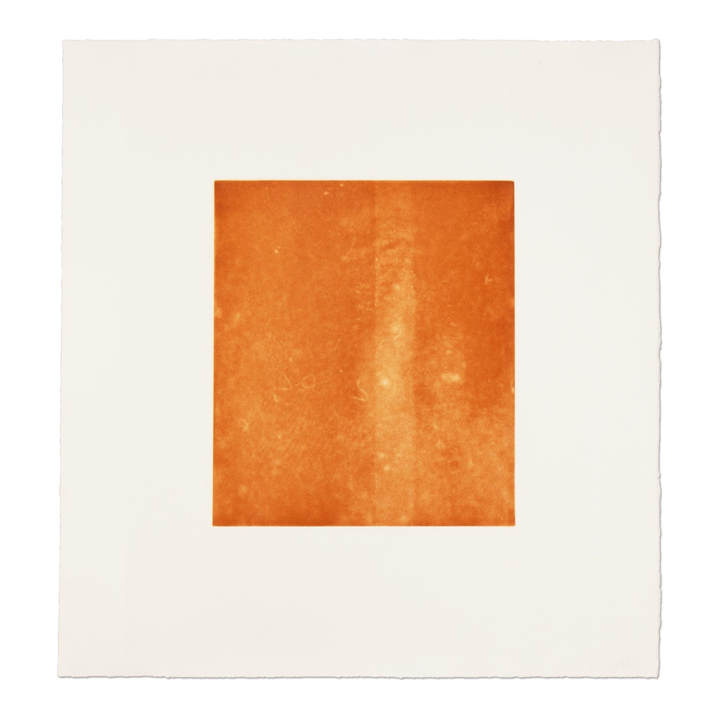 Rosemarie Trockel - Für Freunde und Förderer