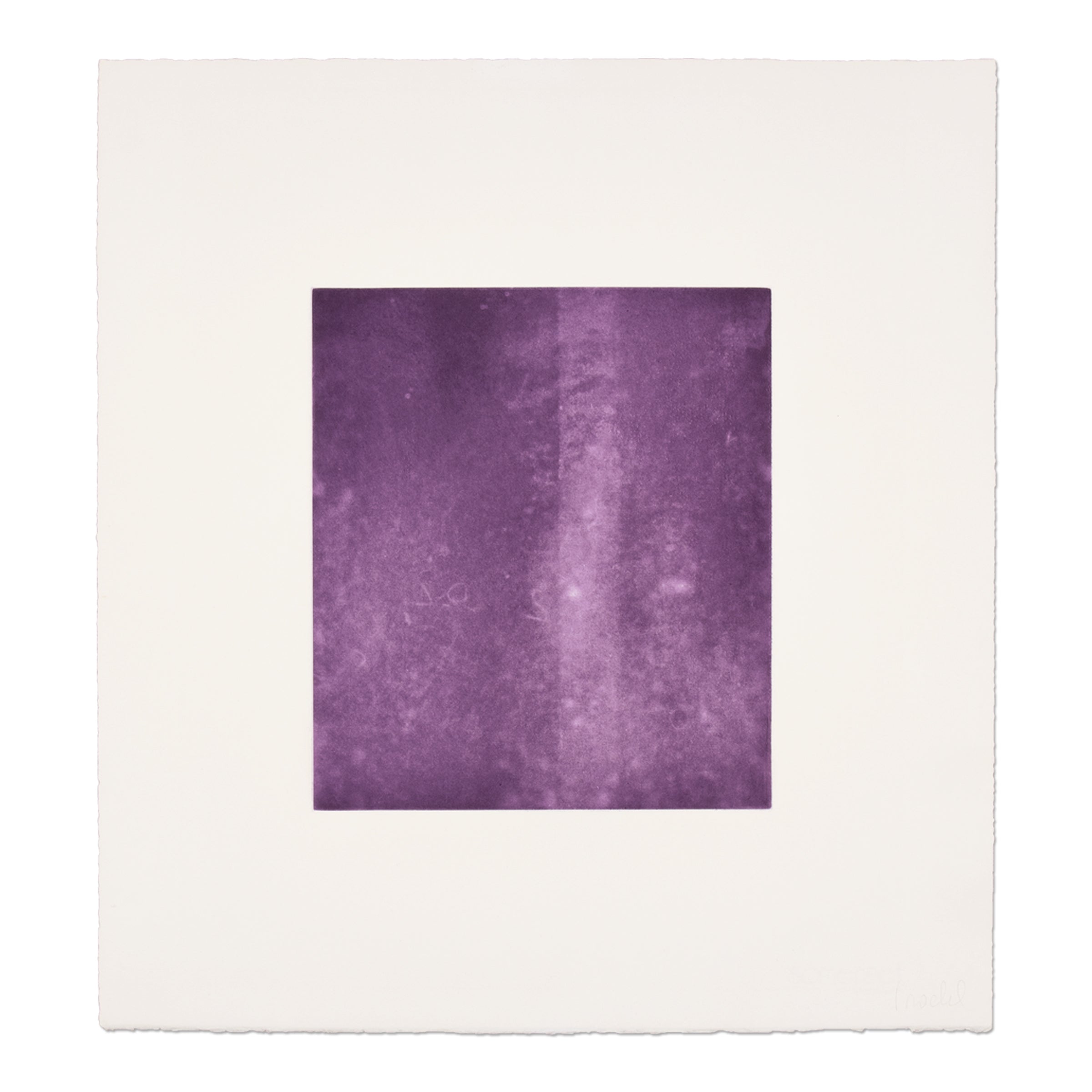 Rosemarie Trockel - Für Freunde und Förderer