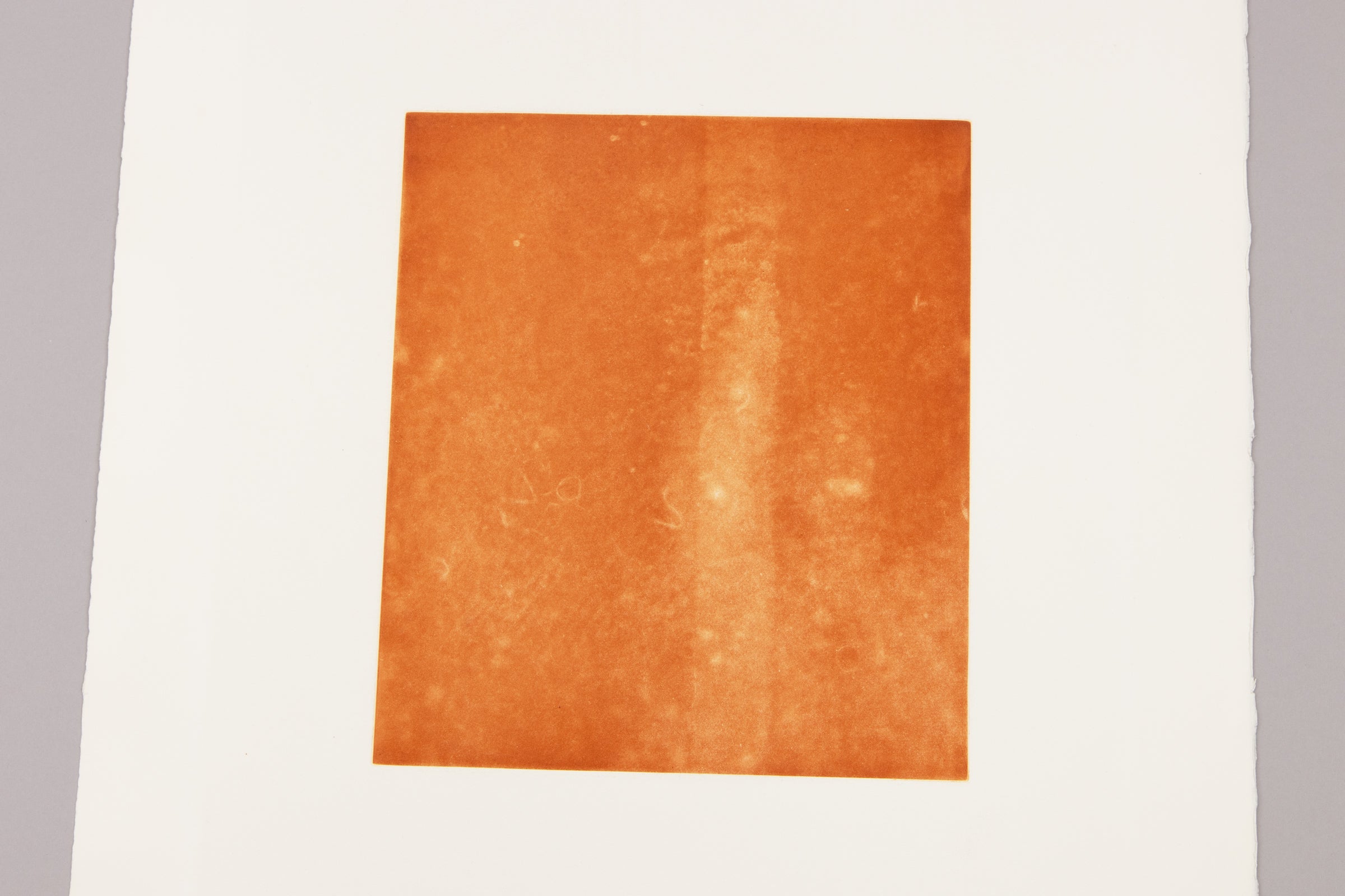 Rosemarie Trockel - Für Freunde und Förderer IV and V