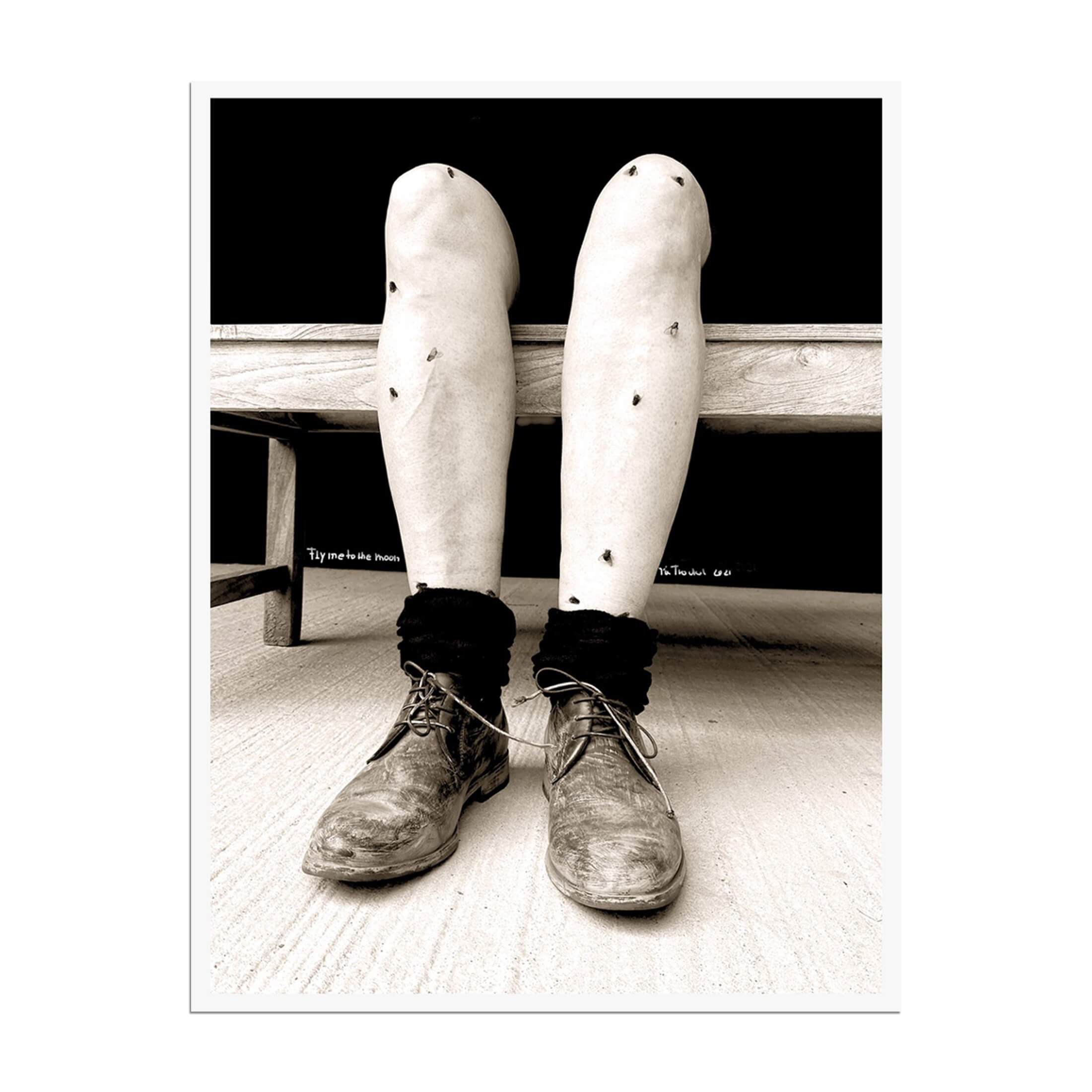 Rosemarie Trockel – Mémoires d'une mouche