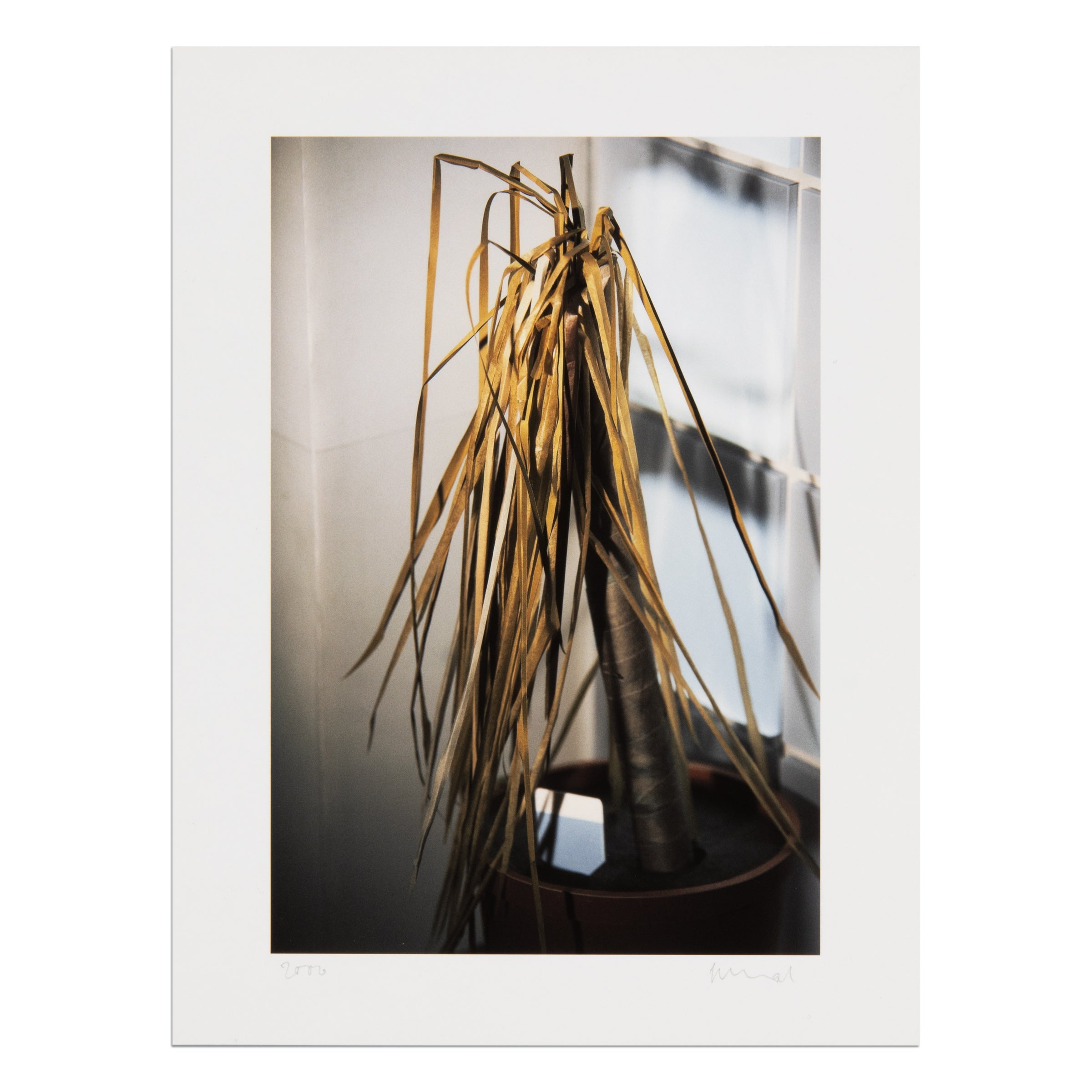 Thomas Demand – Klause (Scheinprobleme in der Philosophie)