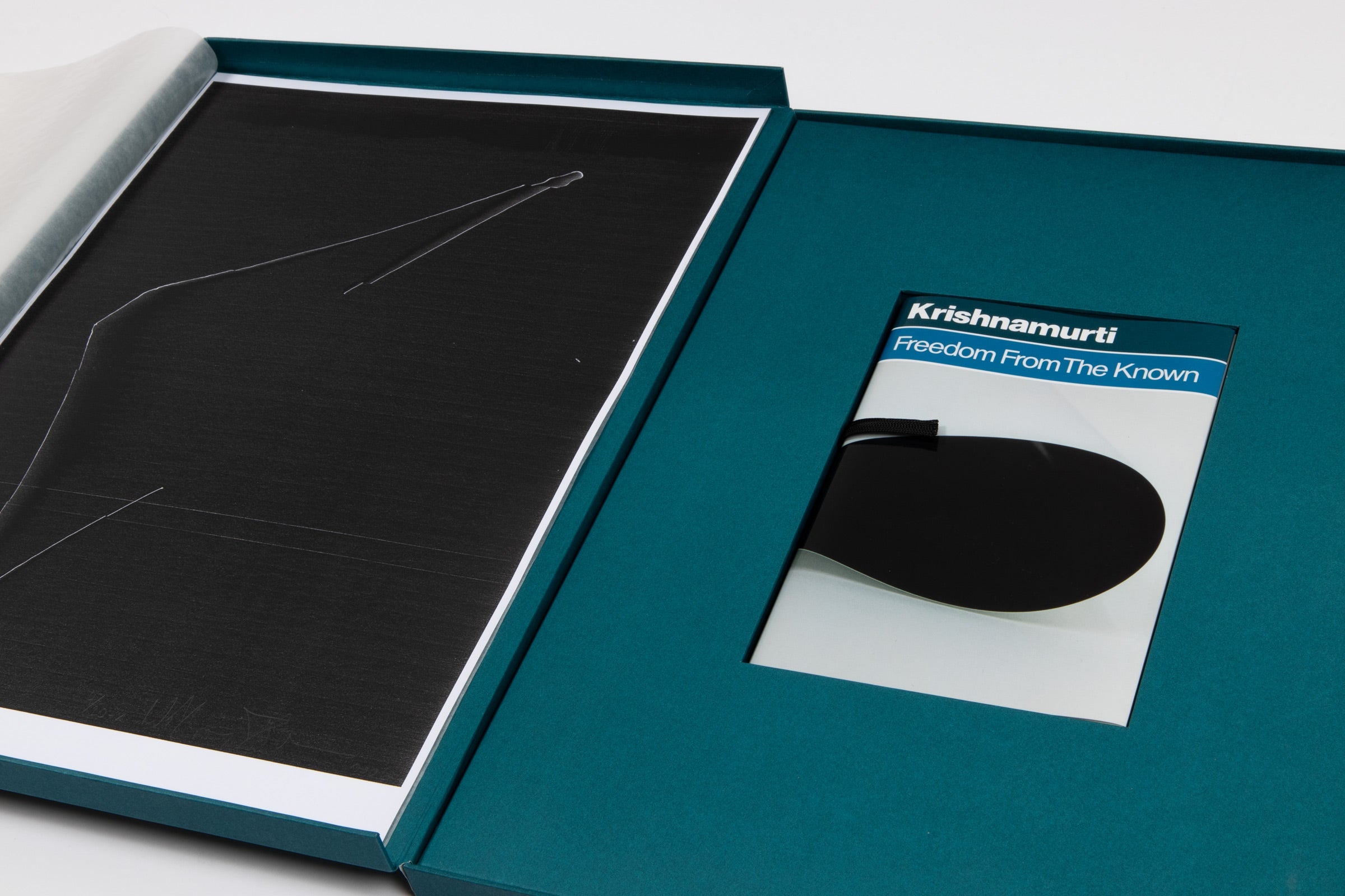 Wolfgang Tillmans - Freedom from the Known